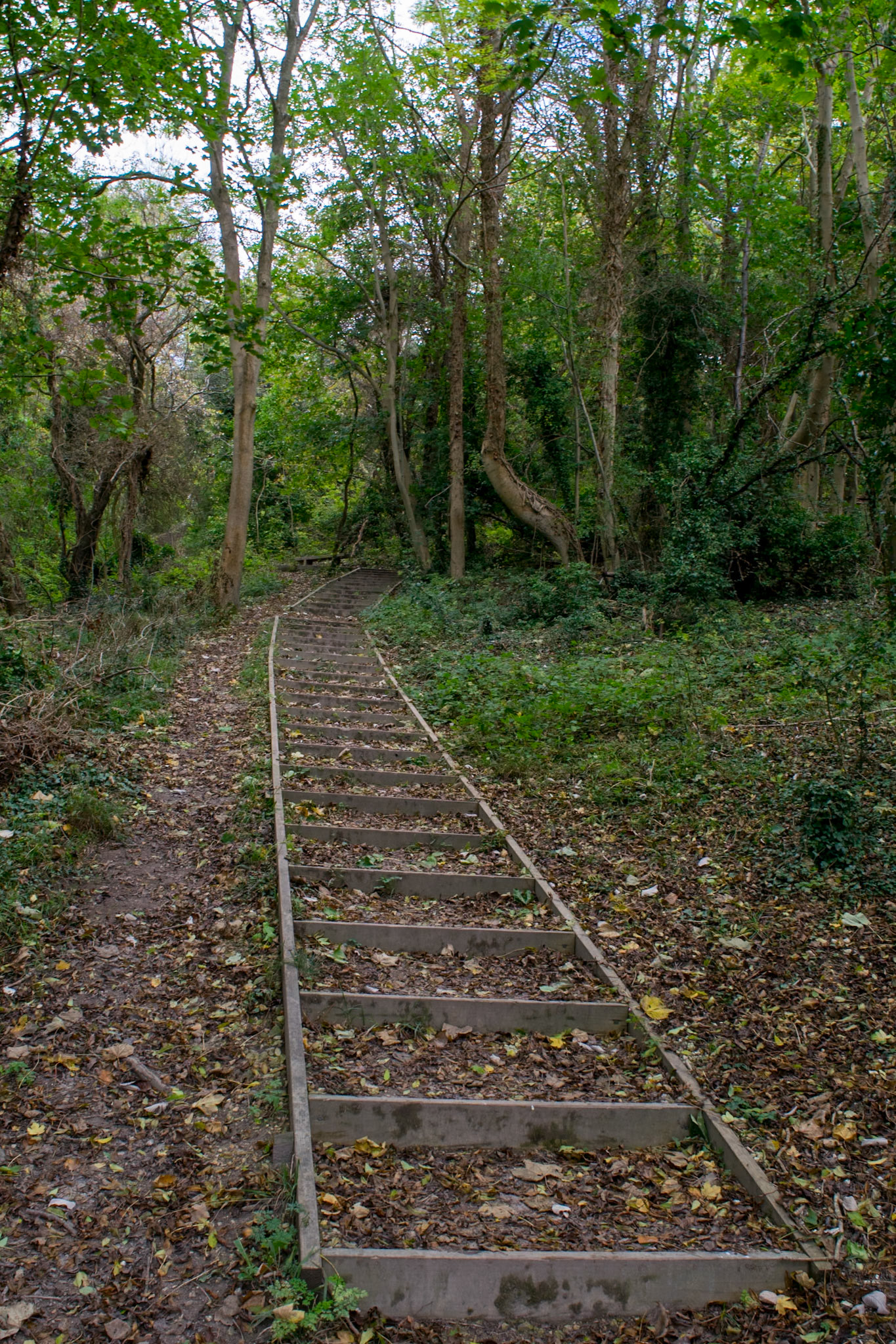 Path near Princes Risborough