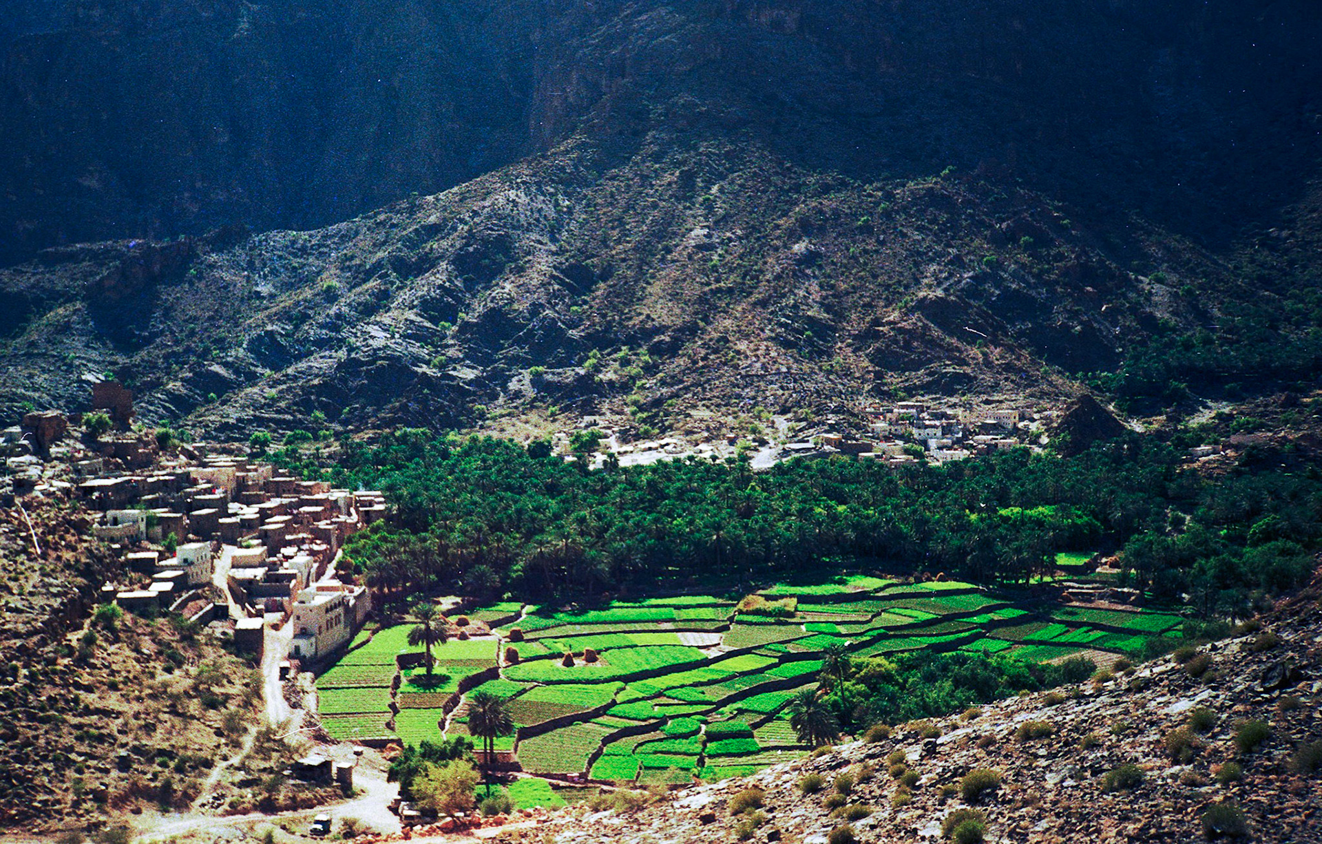 Village and farm land, Wadi Bani Awf