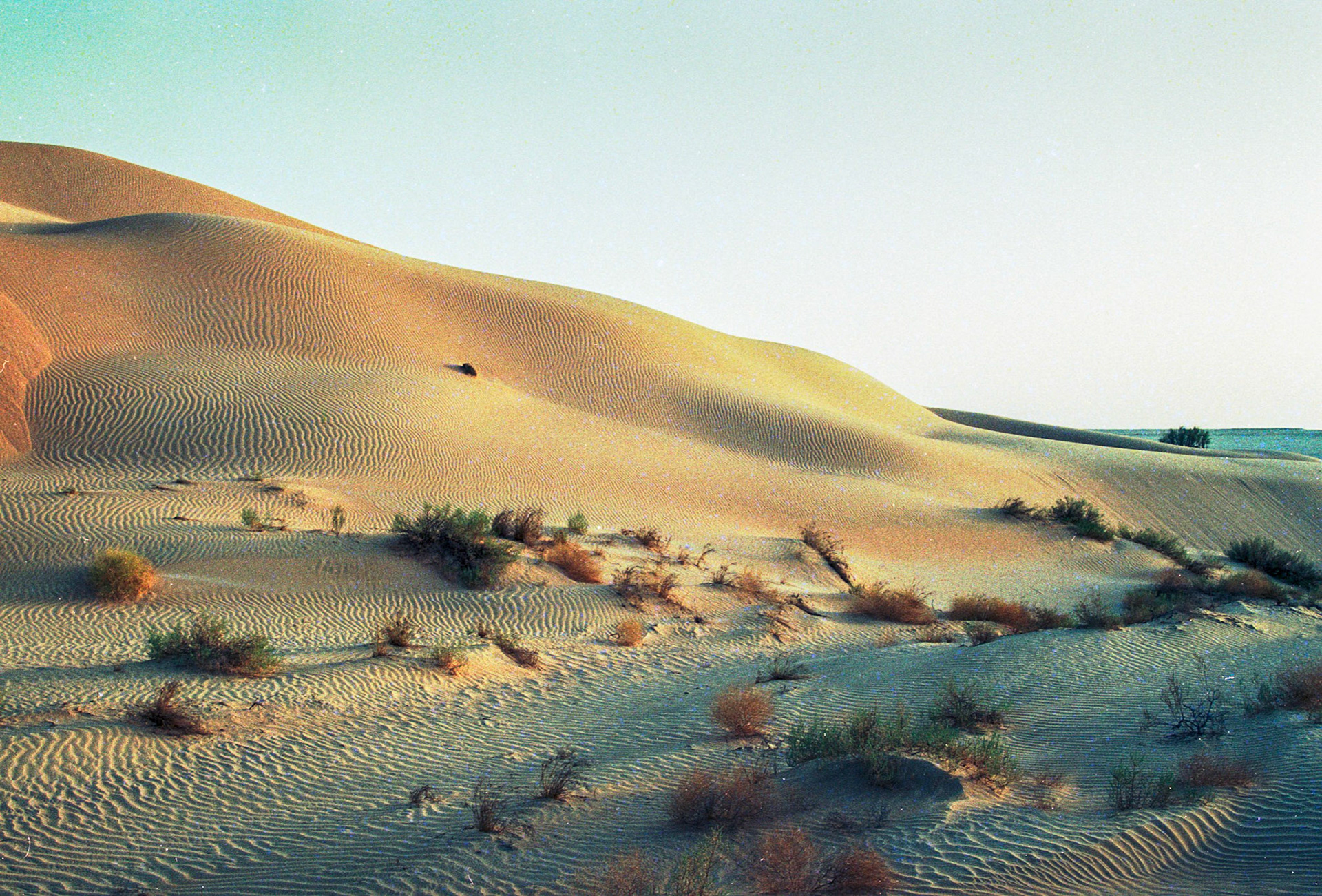 Sand dunes, Zauliyah