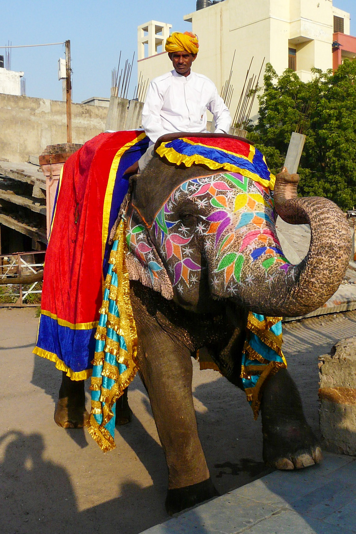 Mahout with elephant, Jaipur, India