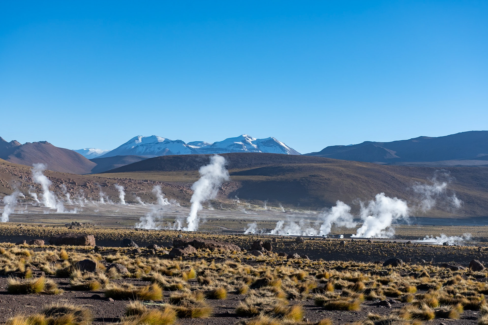 Geysers, El Tatio, San Pedro de Atacama, Chile