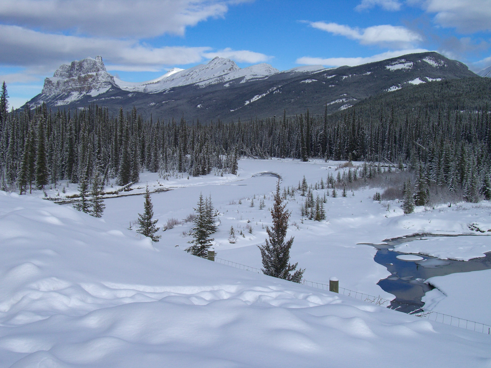 Bow River, near Banff, Alberta, Canada
