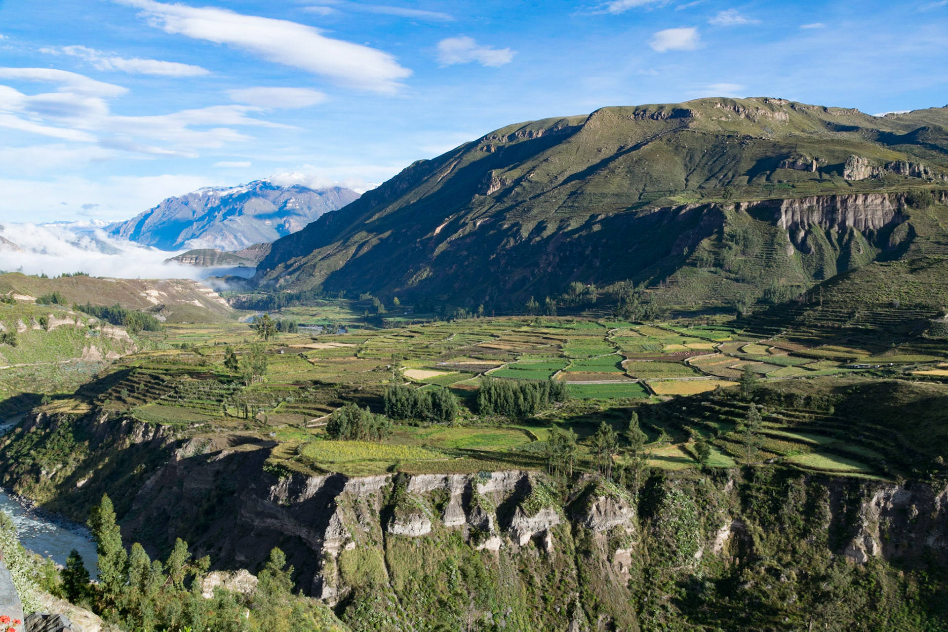 Early morning over farm land, en route to Colca Canyon