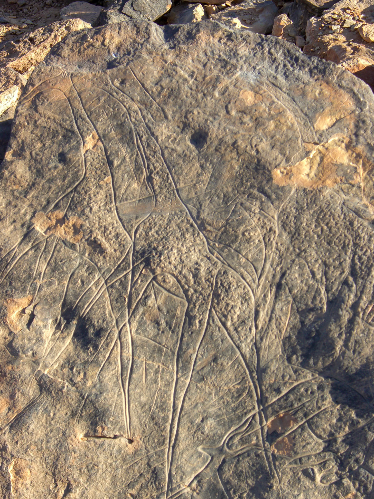 Carving of giraffe, Msak Settafet