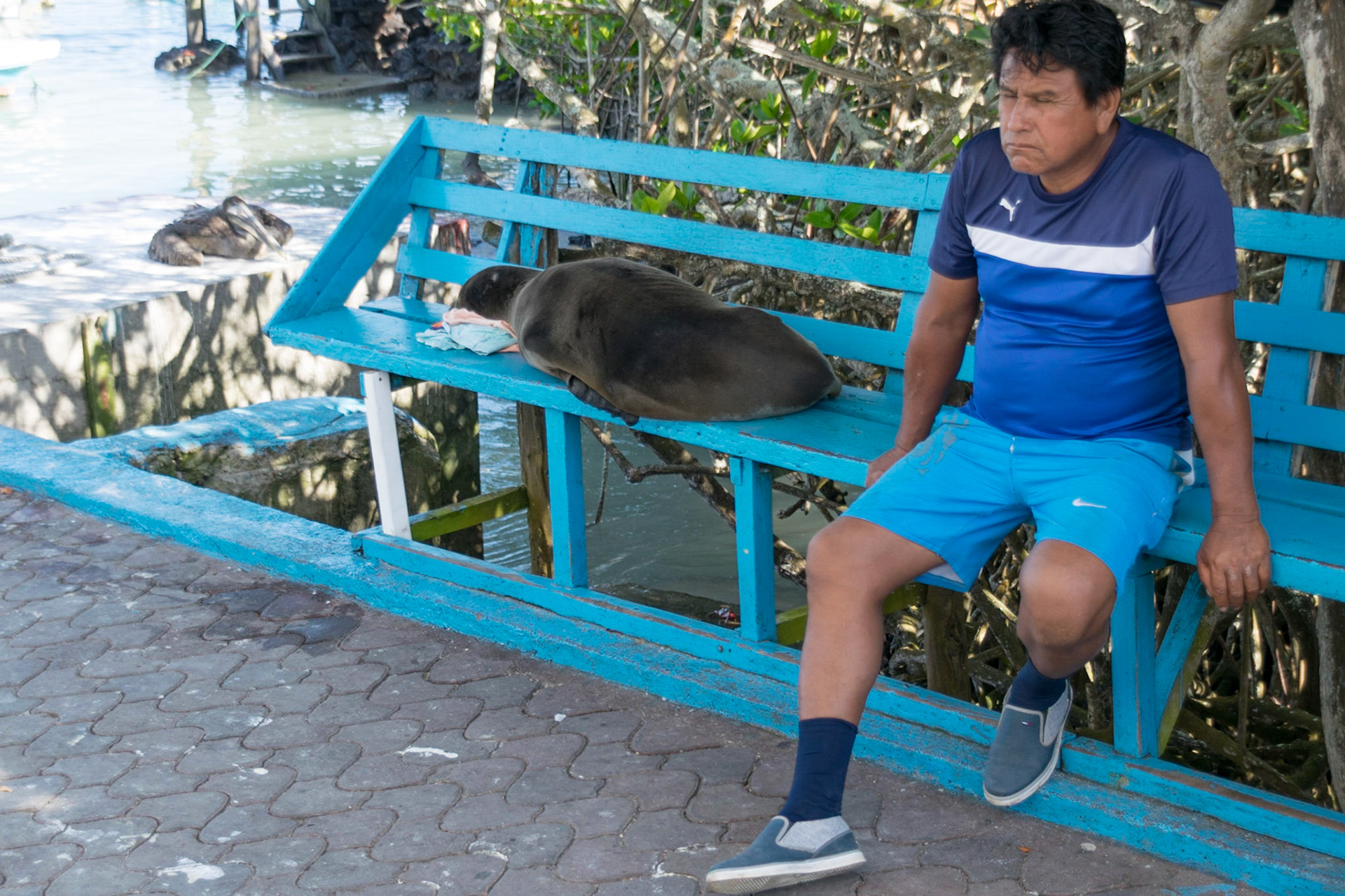 Man sharing bench with sea lion, Puerto Ayora, Ecuador, 2018