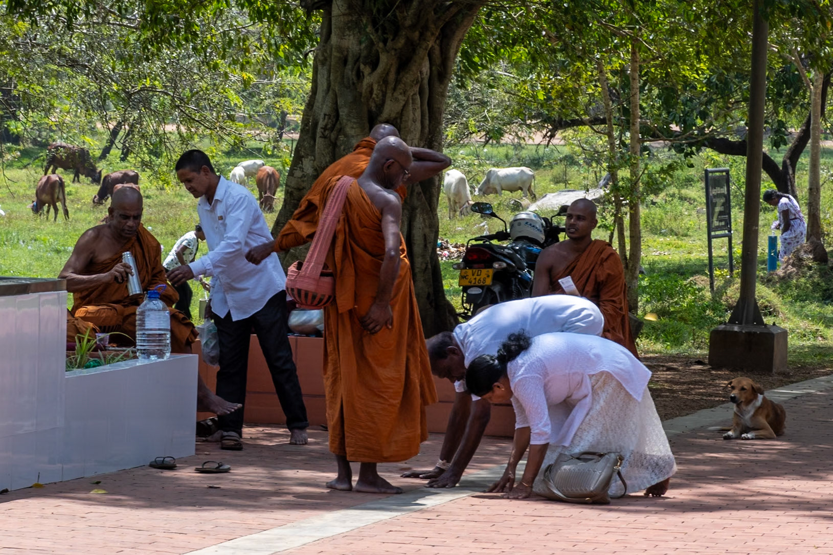 Monks and pilgrims, Thuparama Vihara, Anuradhapura