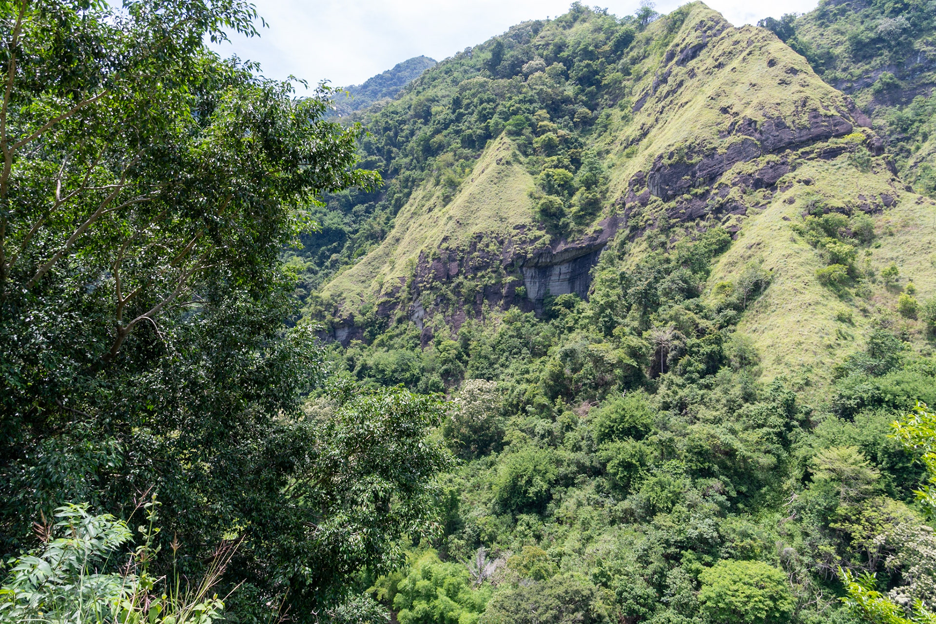 Steep hills, Ndungga
