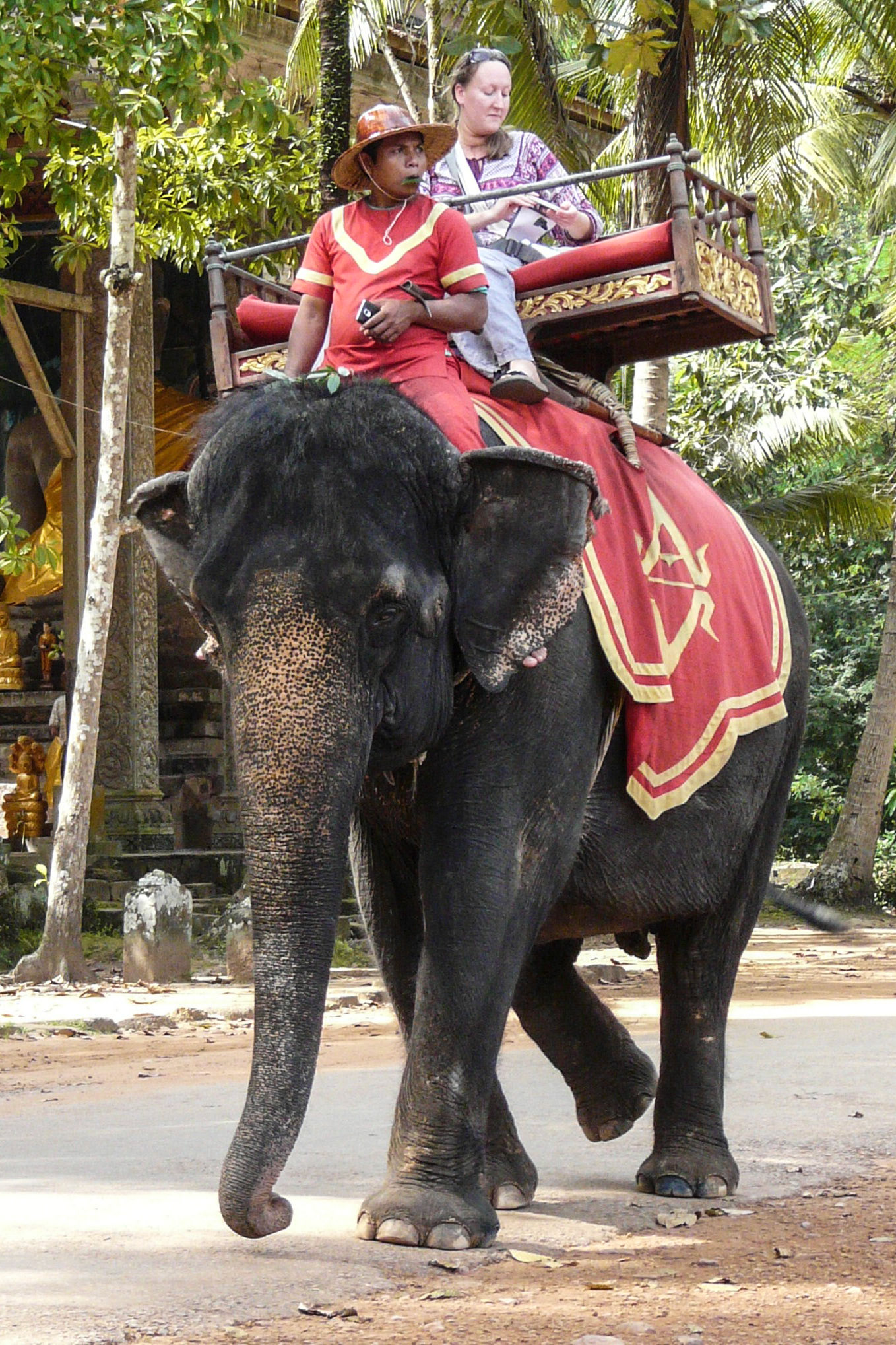 Tourist riding on elephant, Siem Reap, Cambodia