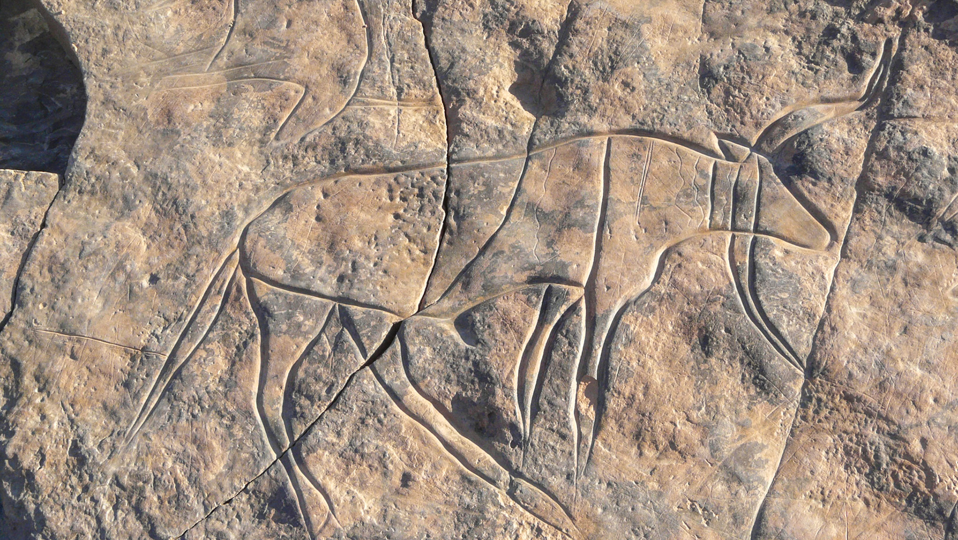 Carving of auroch, Msak Settafet