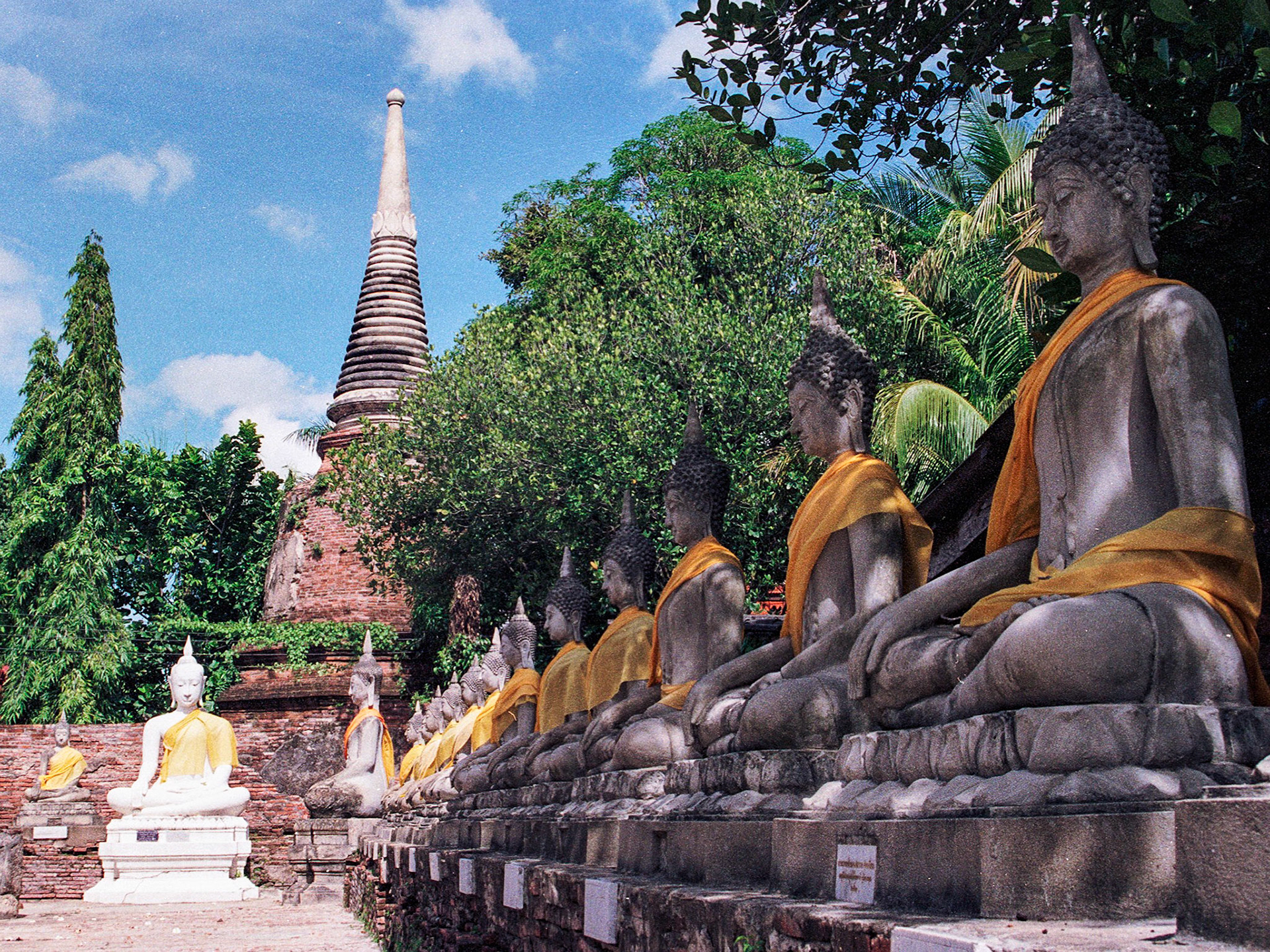Row of Buddhas, Ayutthaya