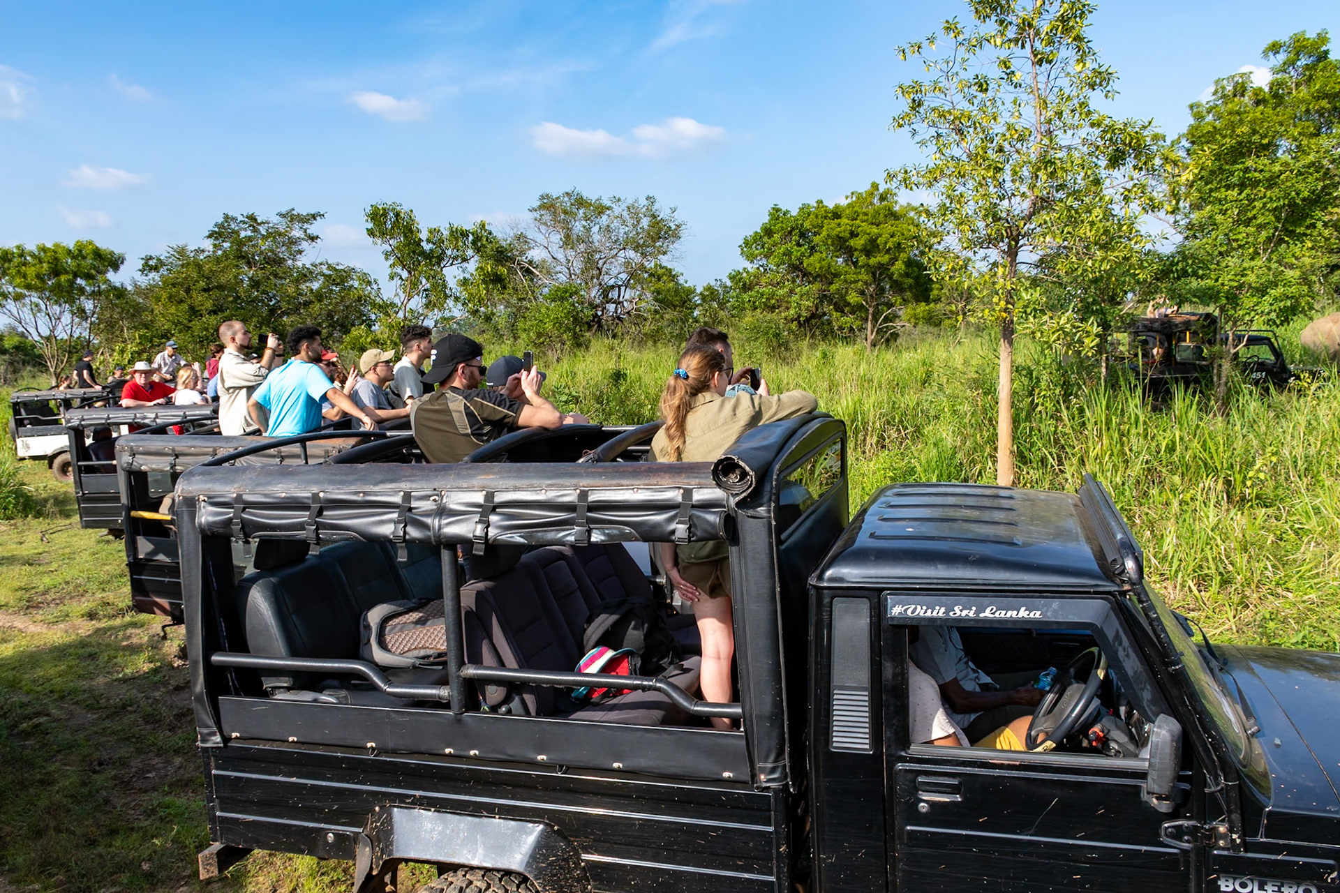 Elephant watchers, Hurulu Eco Park, Sri Lanka, 2024