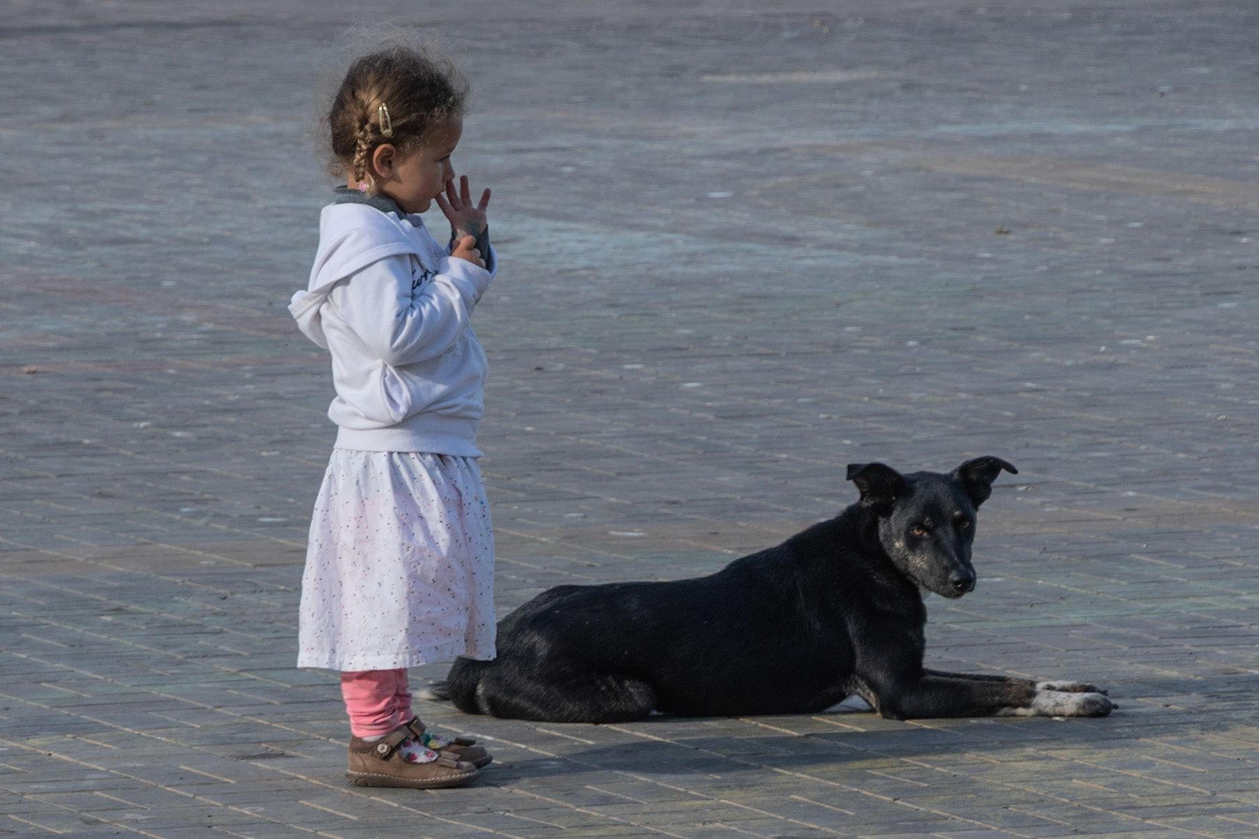 Young girl with dog, Essaouira, Morocco, 2021