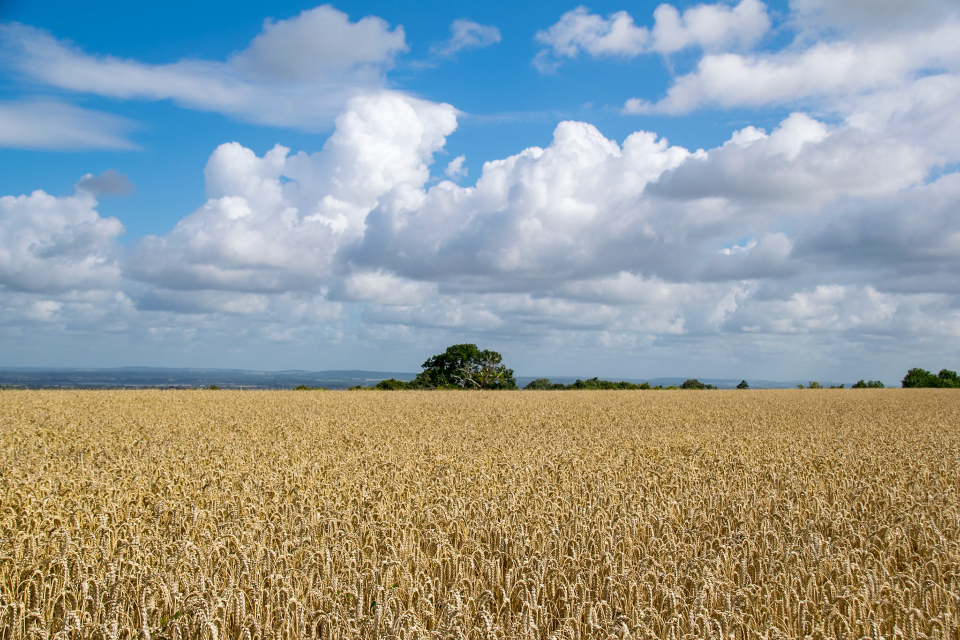 Leaving Middehill Down, near Wantage