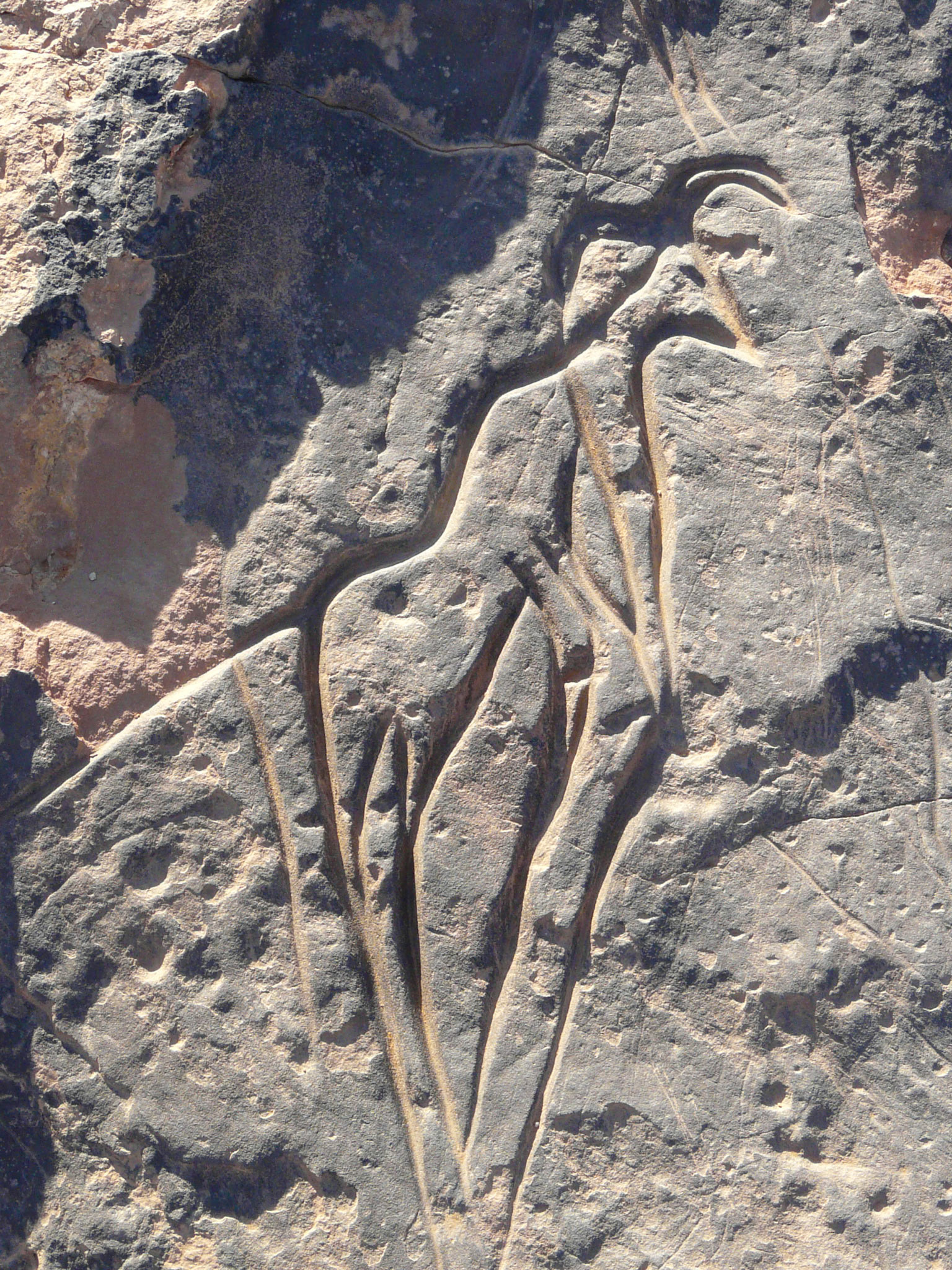 Rock carvings, Msak Settafet