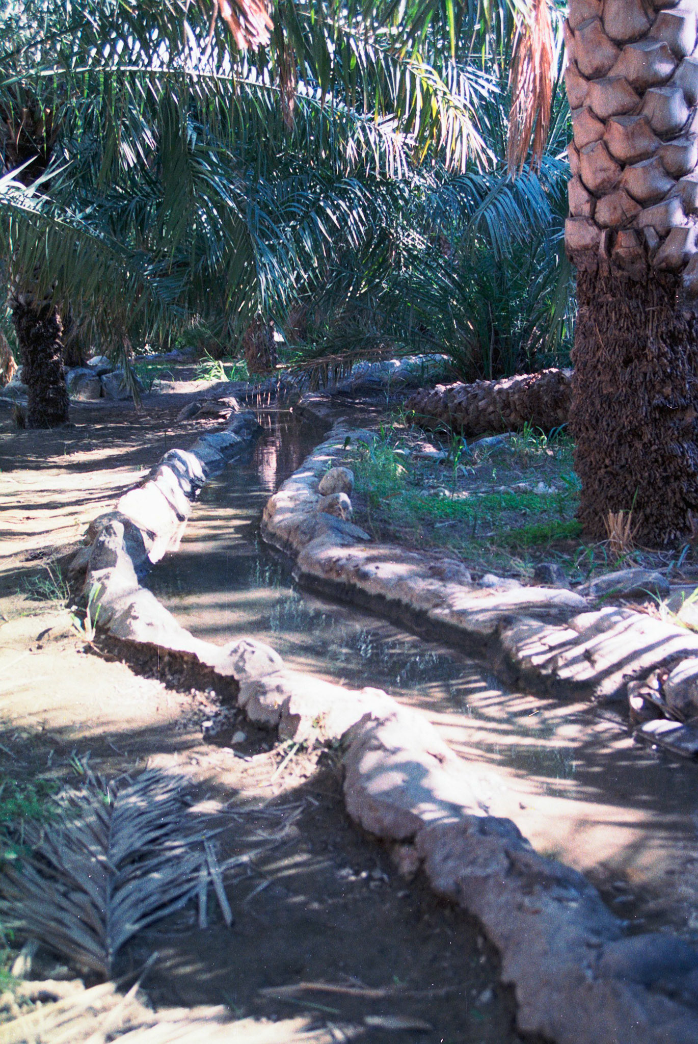 Falaj, Wadi Bani Awf