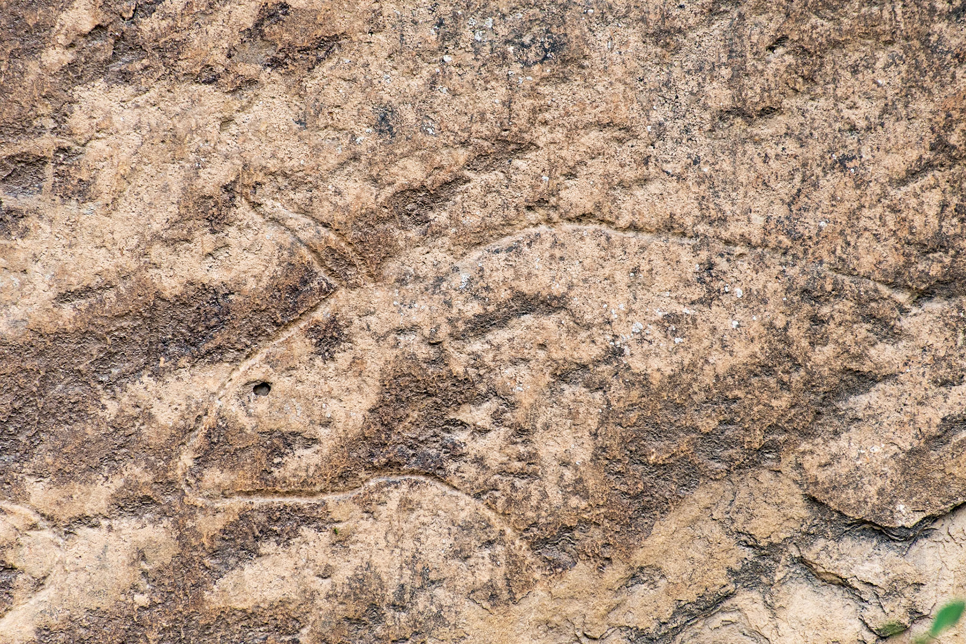 Petroglyphs, Qobustan