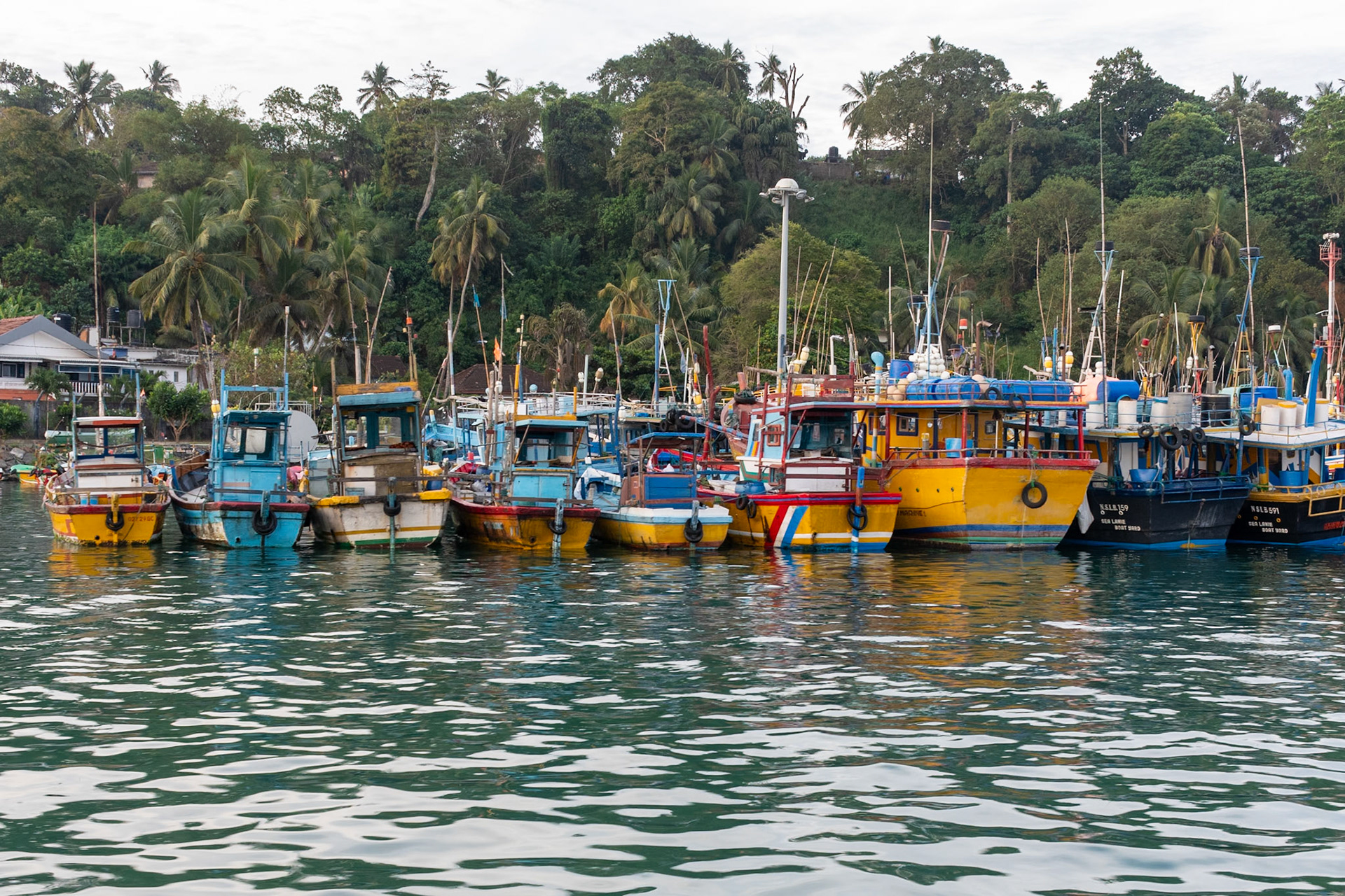 Fishing boats, Mirissa