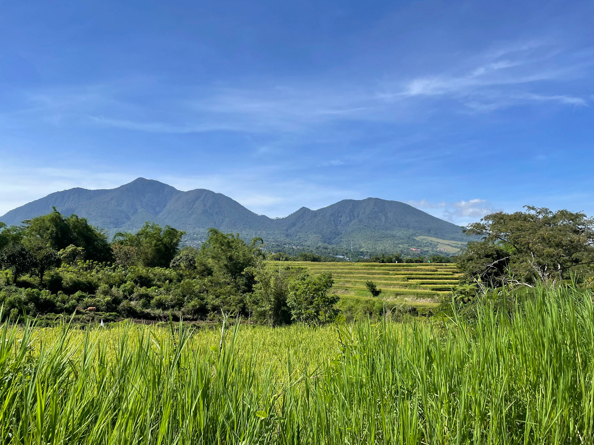 View towards mountains, Ruteng