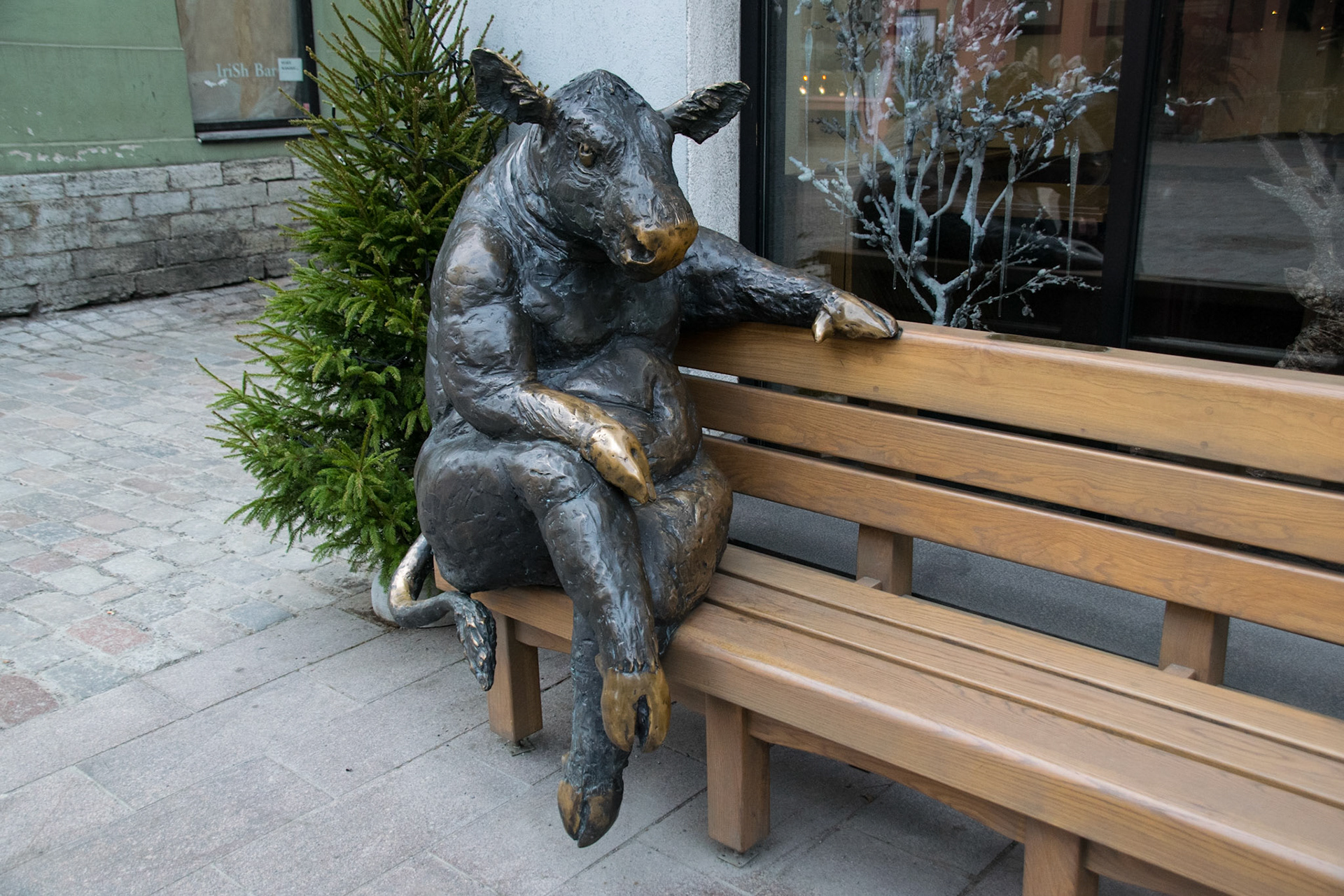 Bull on a bench, Tallinn