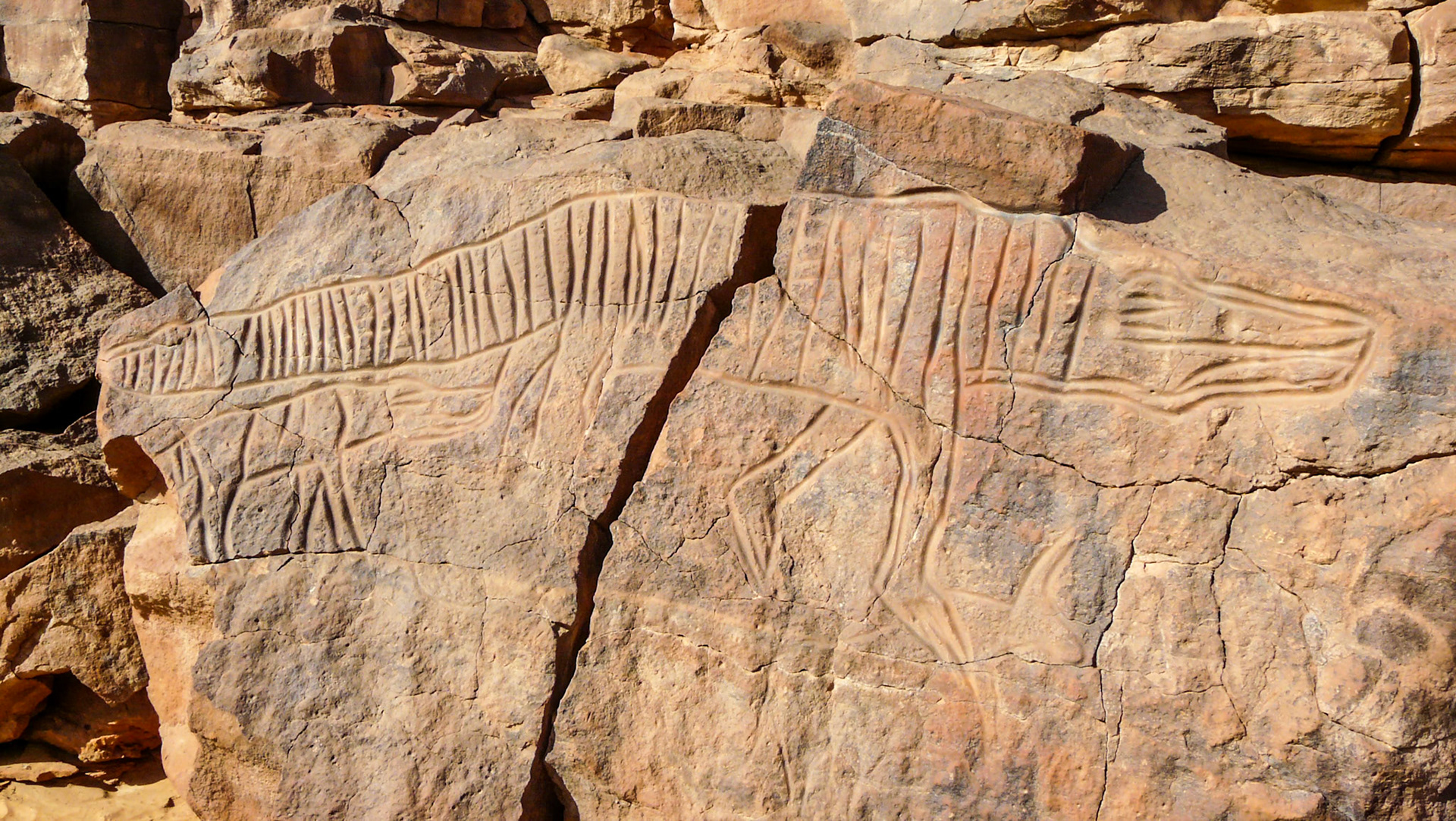Carving of a crocodile, Wadi Methkandoush