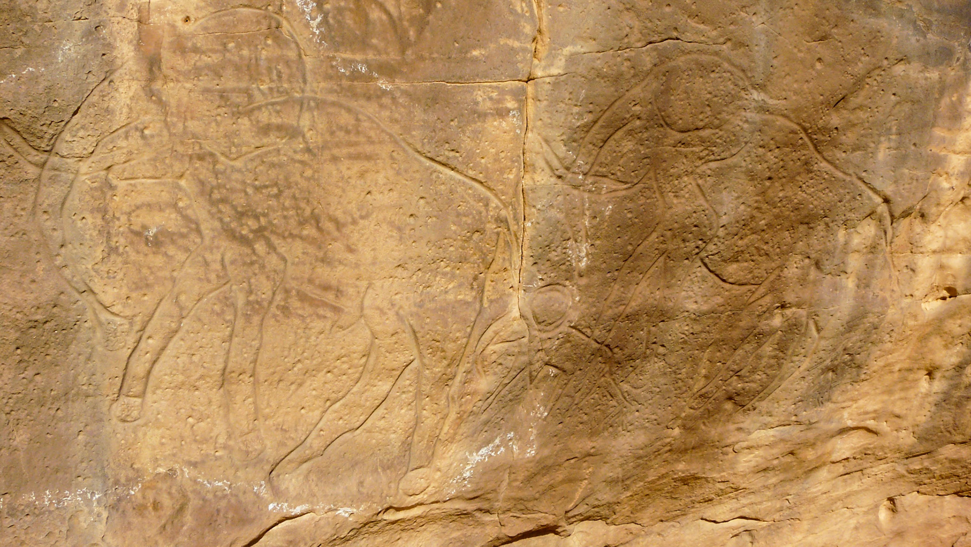 Carving of elephants, Northern Akakus