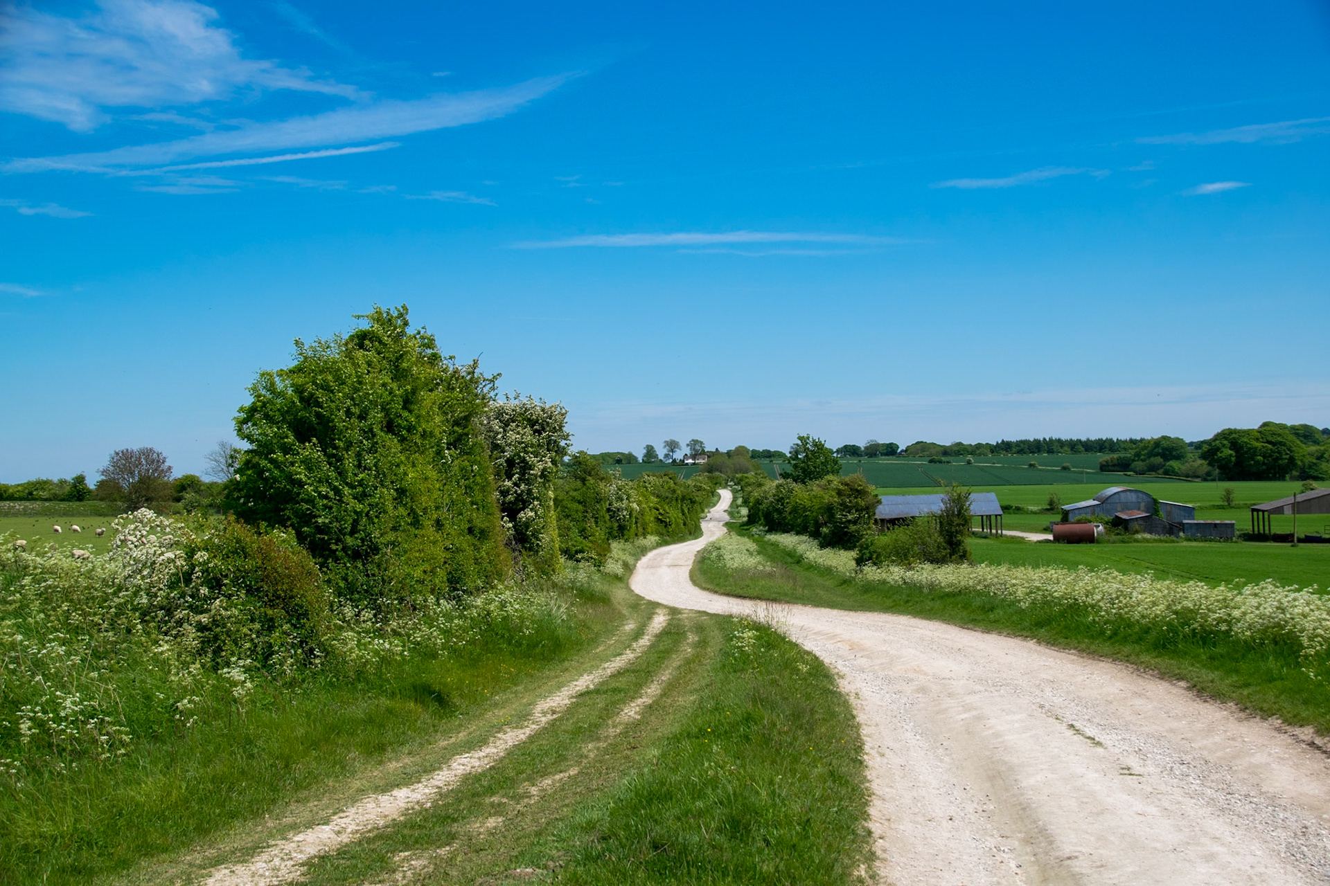 Approaching Middehill Down, near Wantage