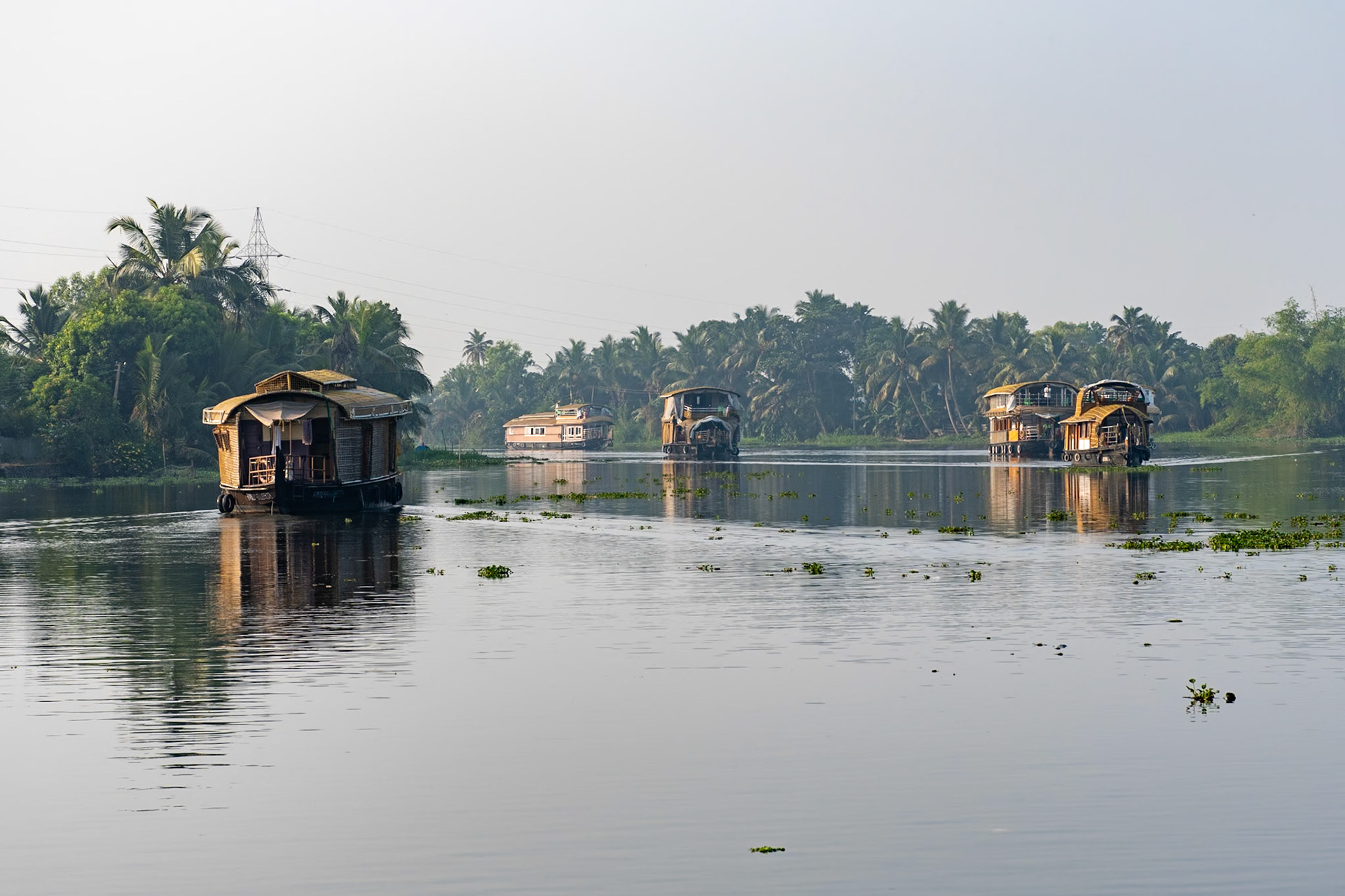 Houseboats, Backwaters, Alleppey