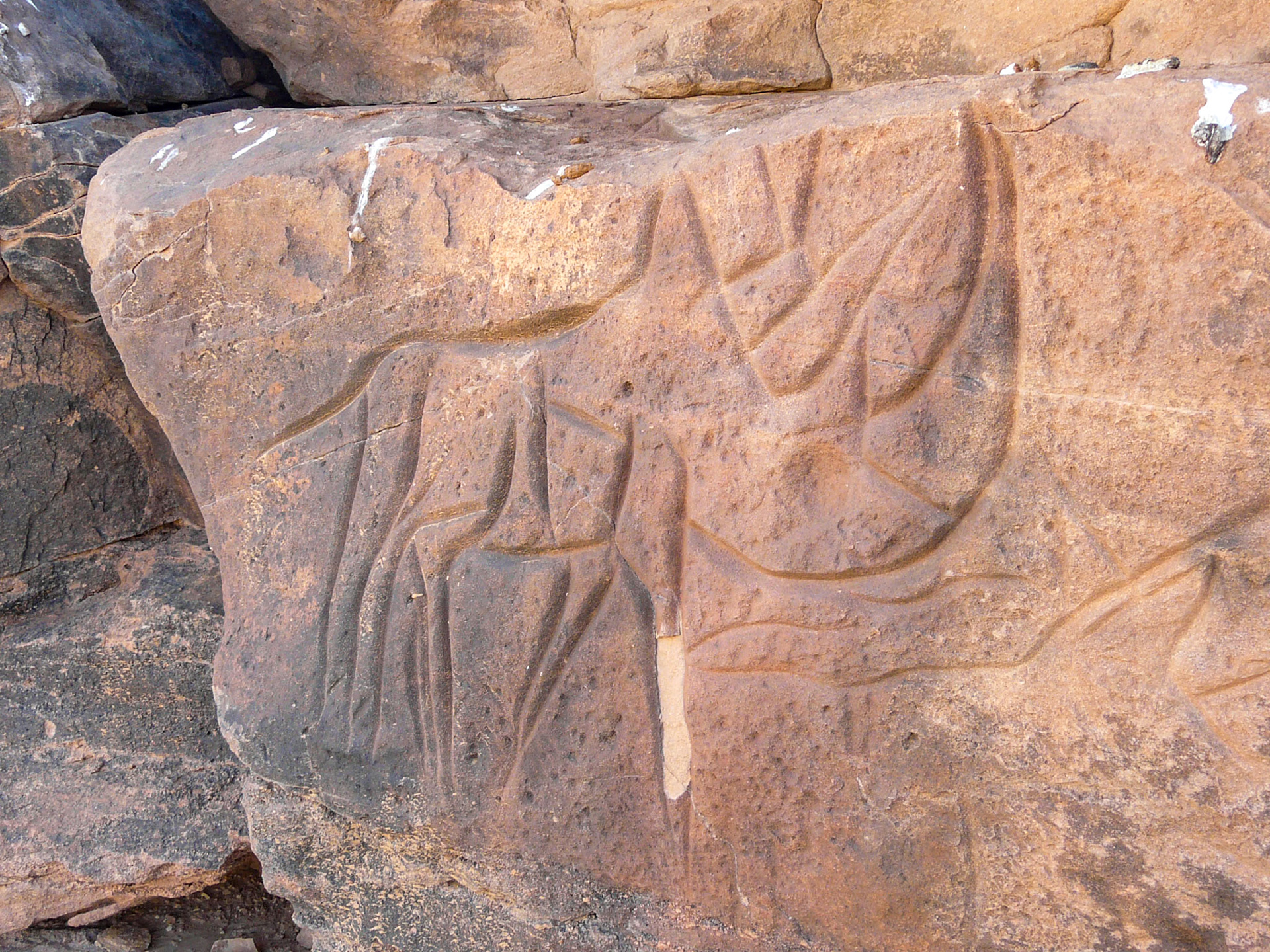 Carving of rhinoceros, Msak Settafet
