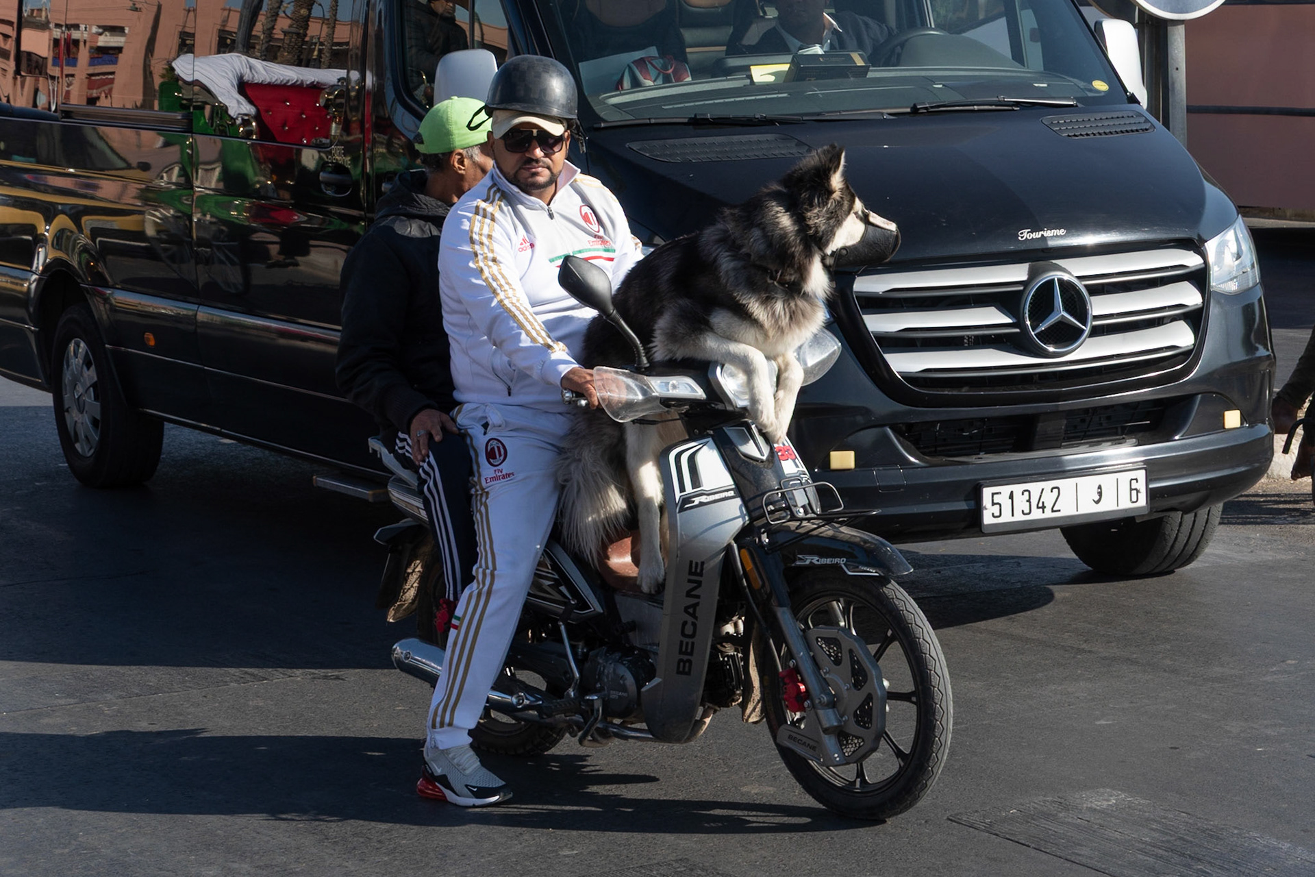 Dog on motorbike, Marrakech, Morocco, 2021