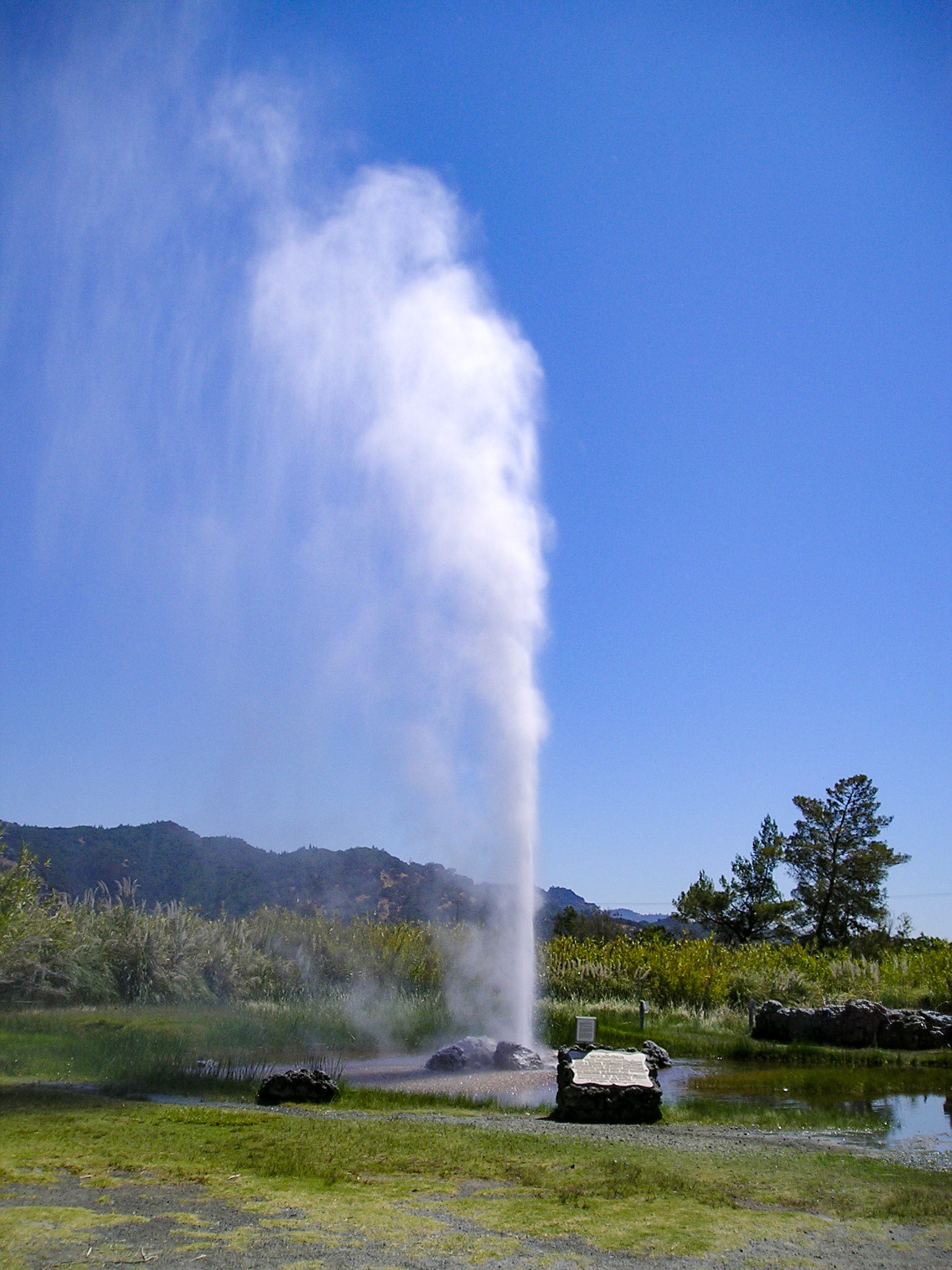 Geyser, Napa Valley