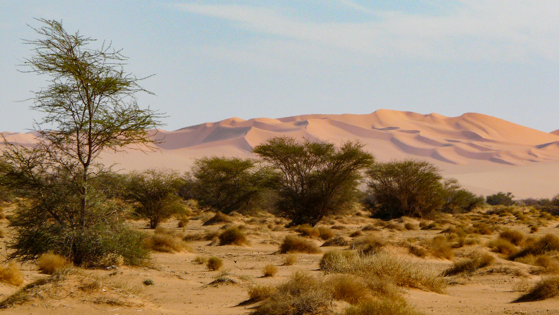 Wadi, near Msak Settafet