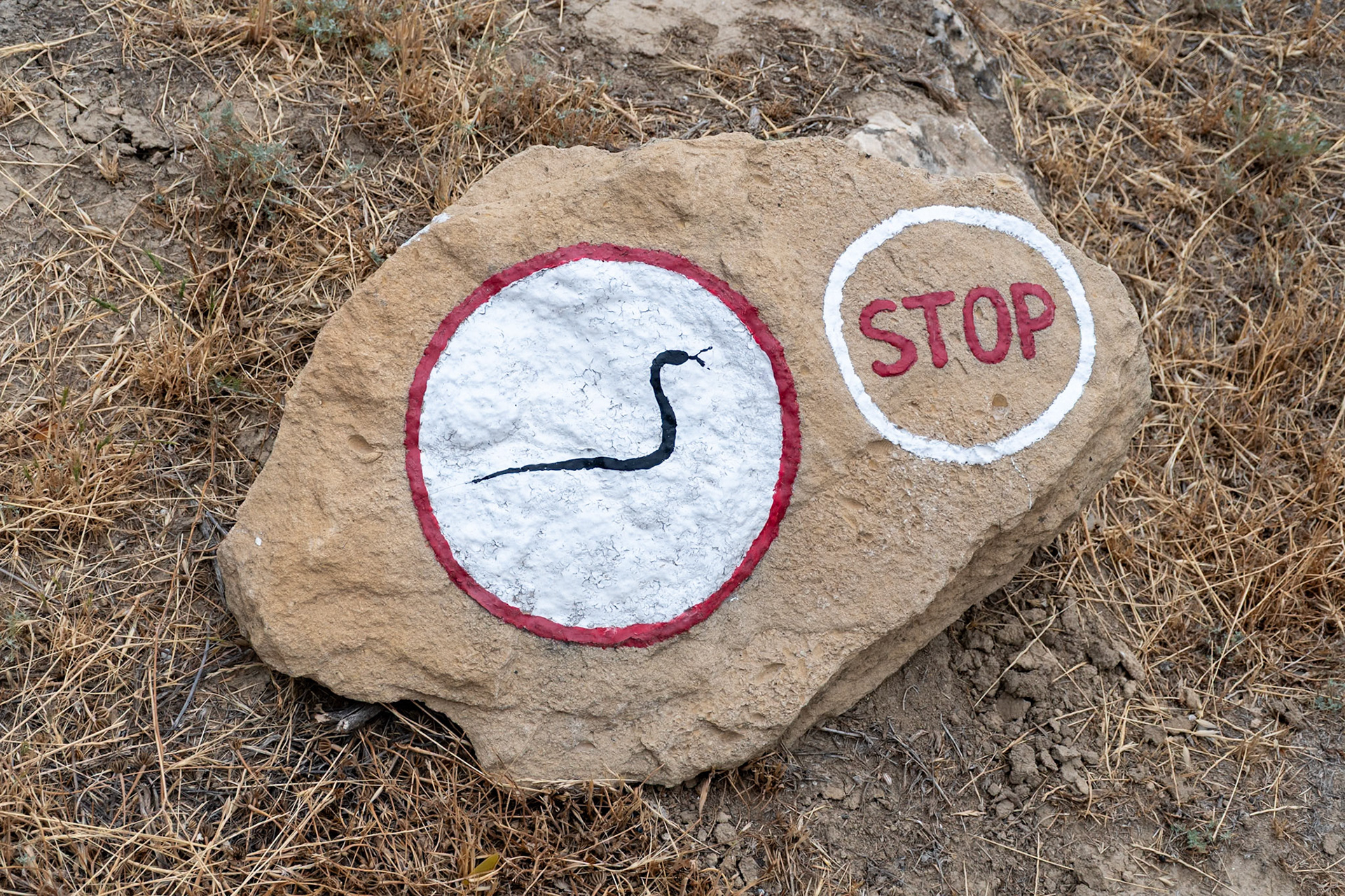Beware of snakes, Qobustan
