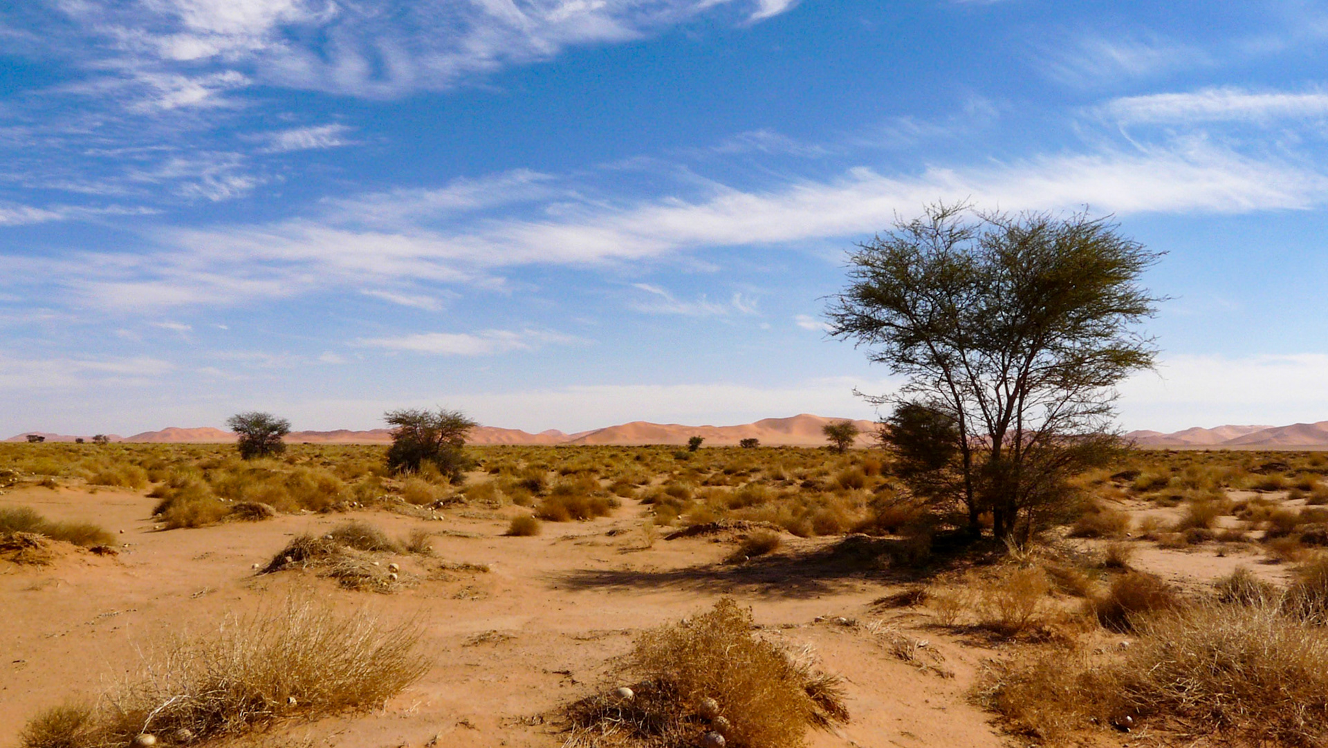 Wadi, near Idehan Murzuq