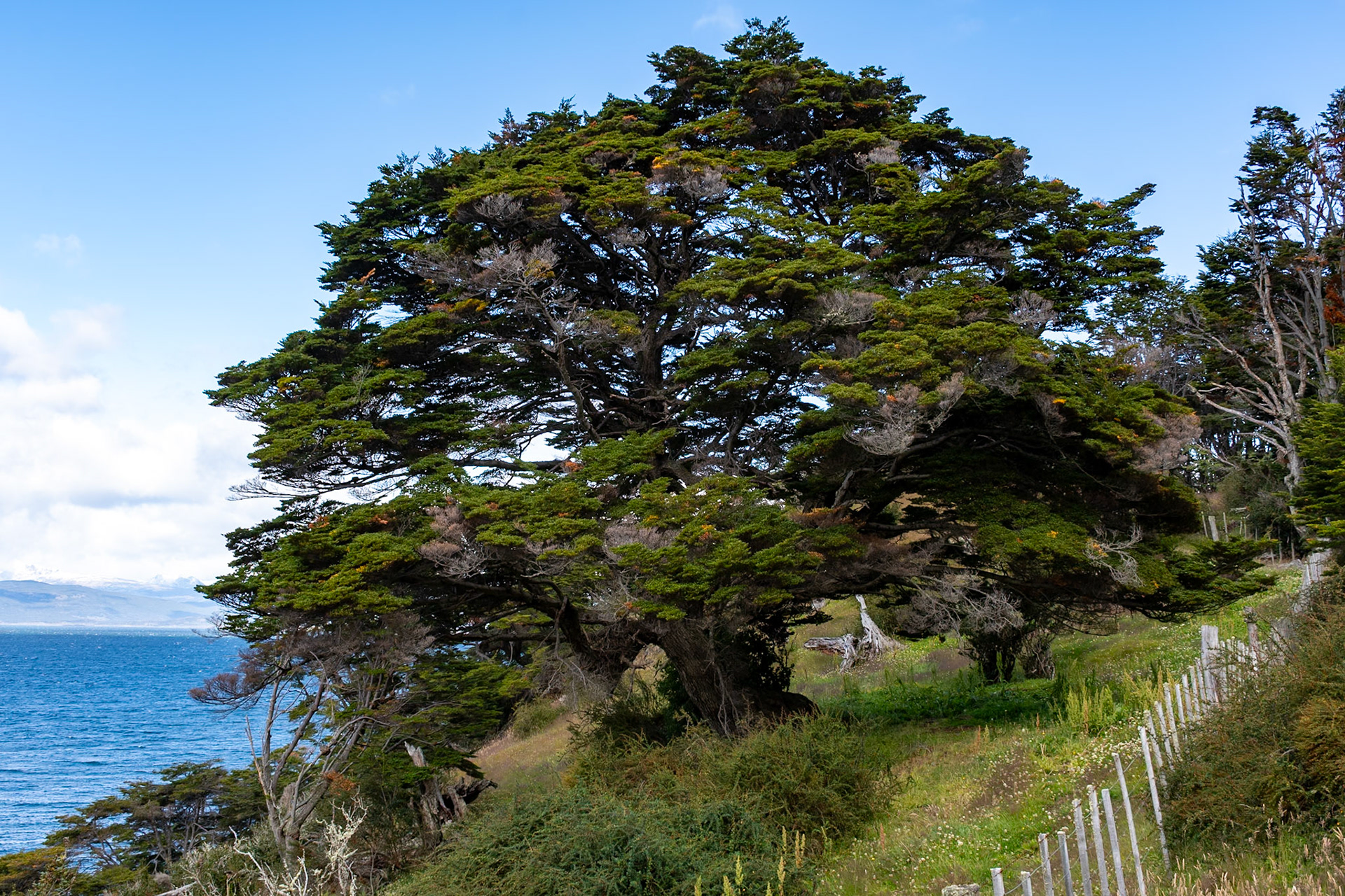 Beside Beagle Channel, Ushuaia