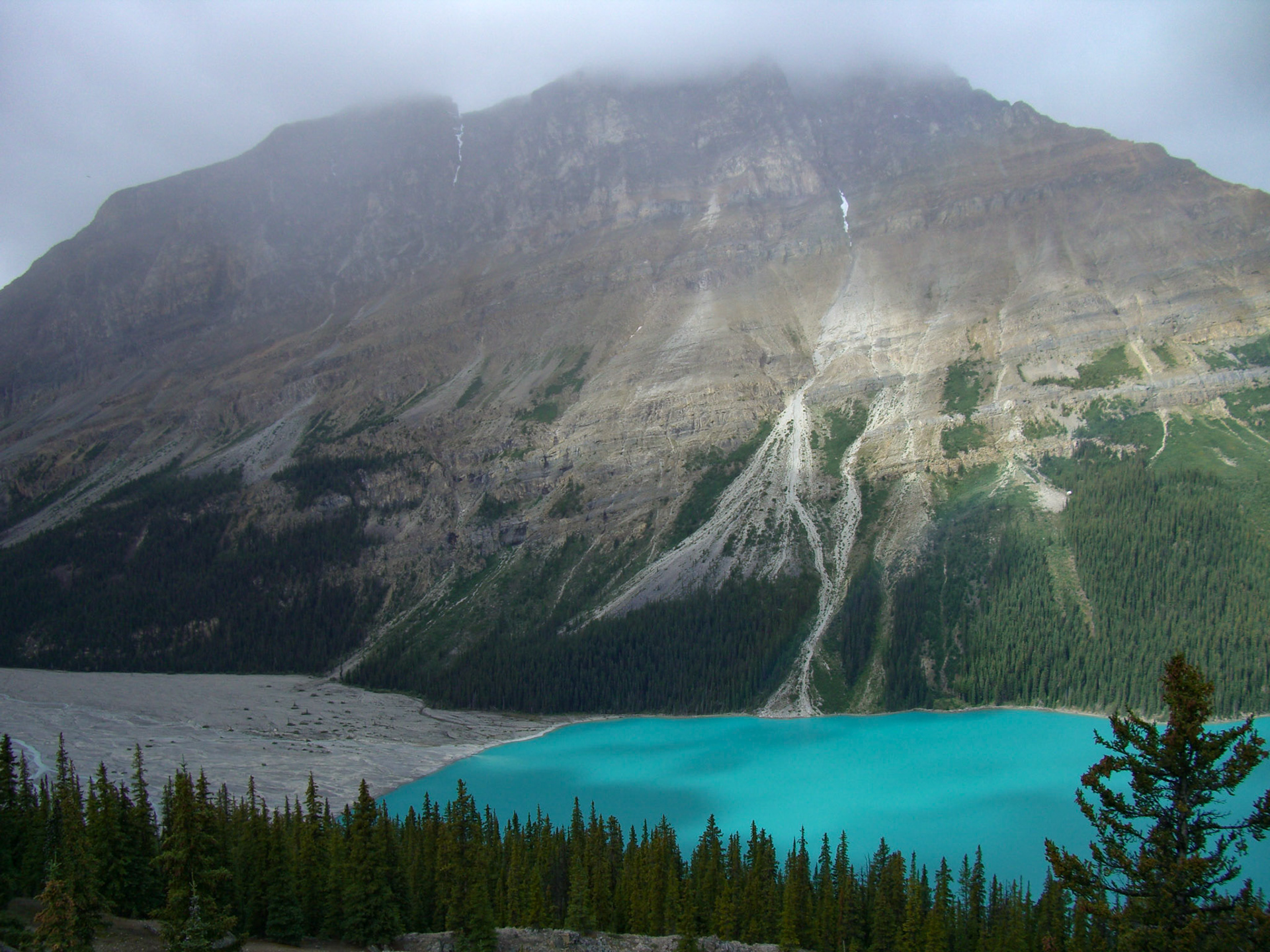 Peyto Lake from Bow Summit, AB