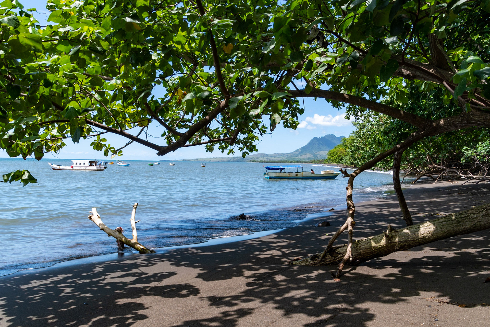 Fishing boats, Aimere, Indonesia