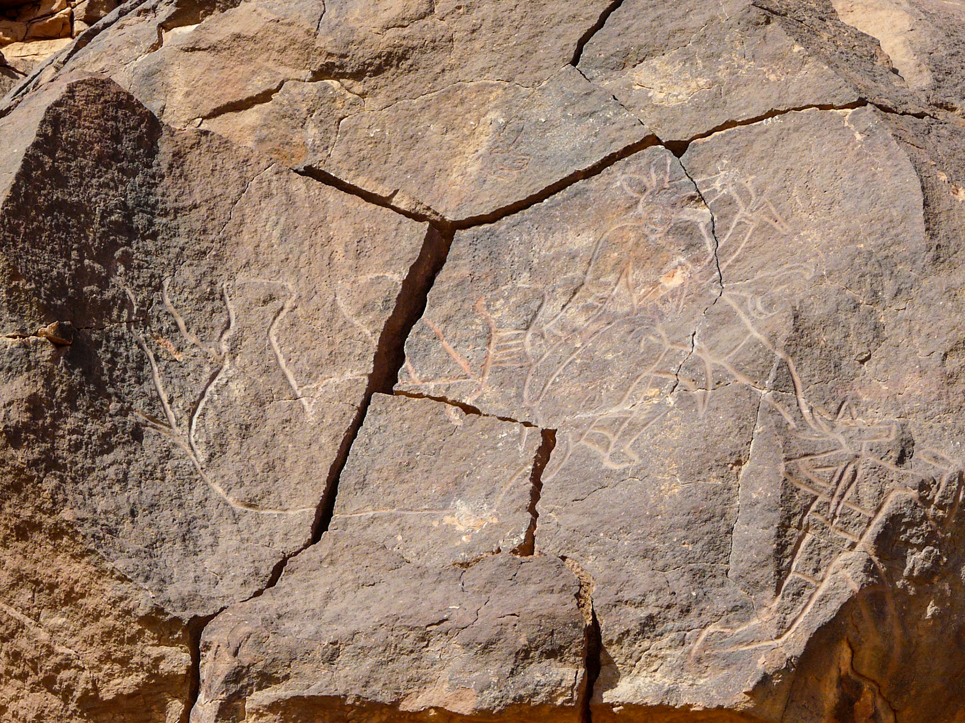 Carving of a hunter and rhinoceros, Wadi Methkandoush