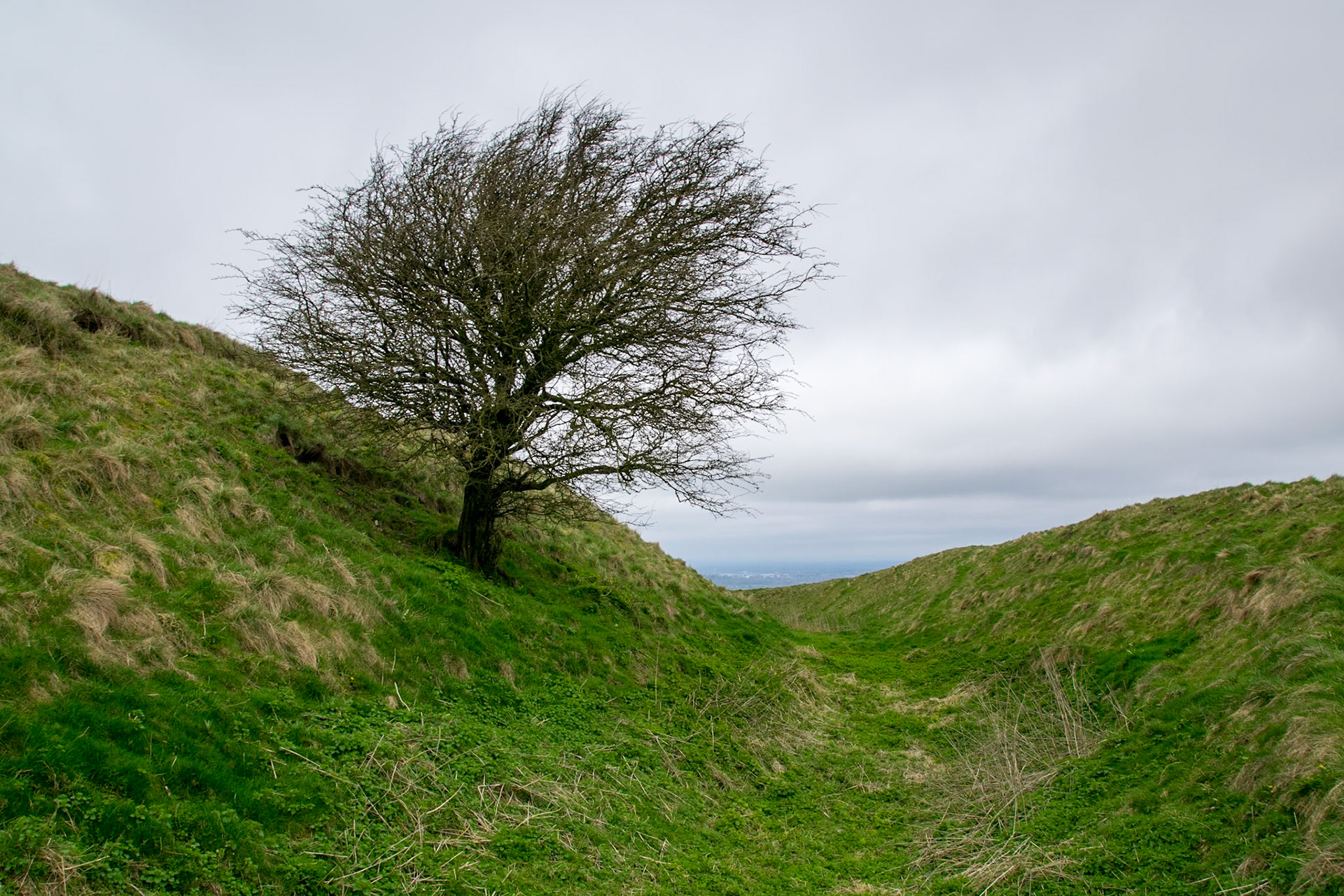 Liddington Castle (Iron Age Hill Fort)