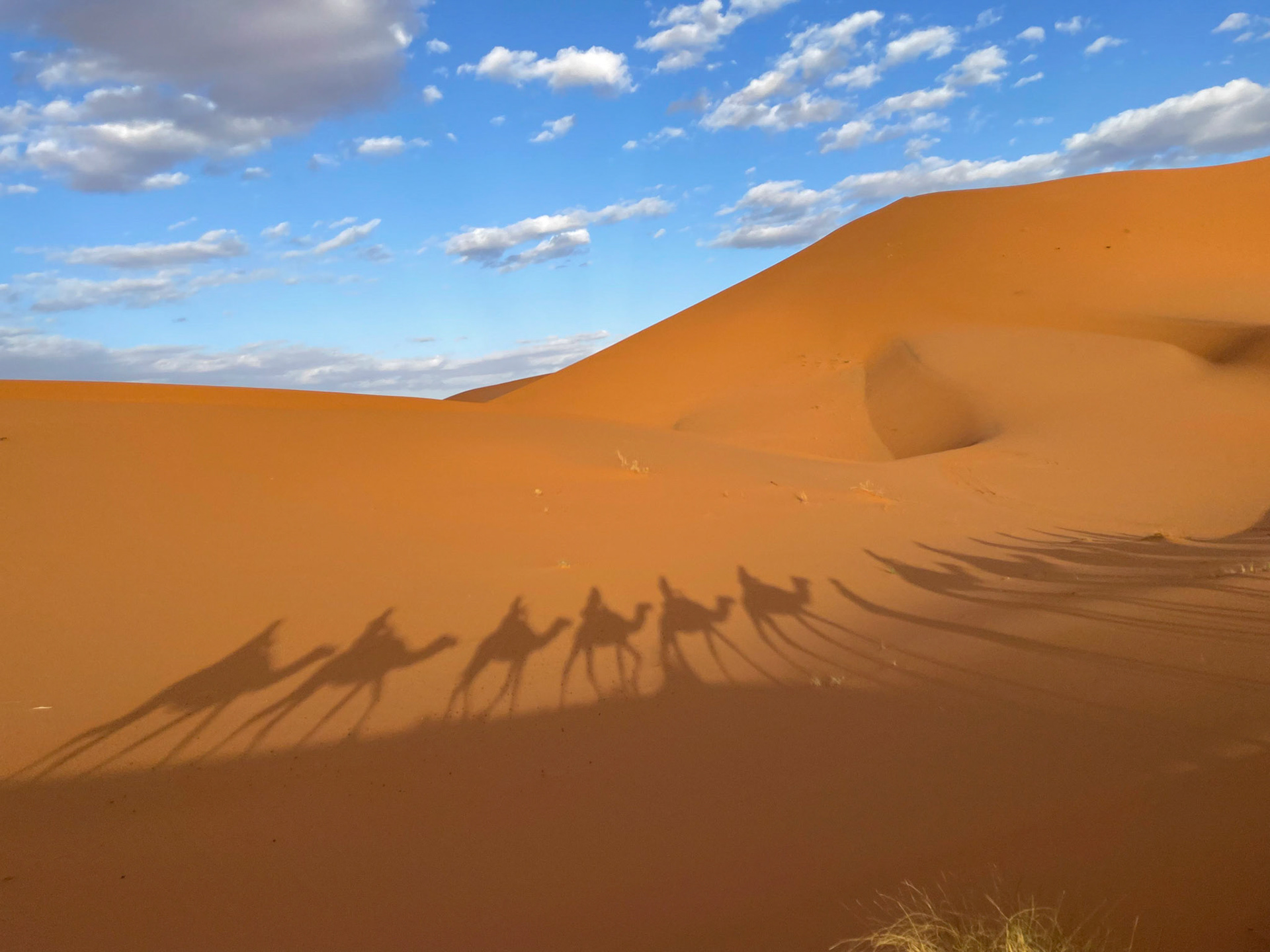 Camel trekking, Erg Chebbi, Morocco