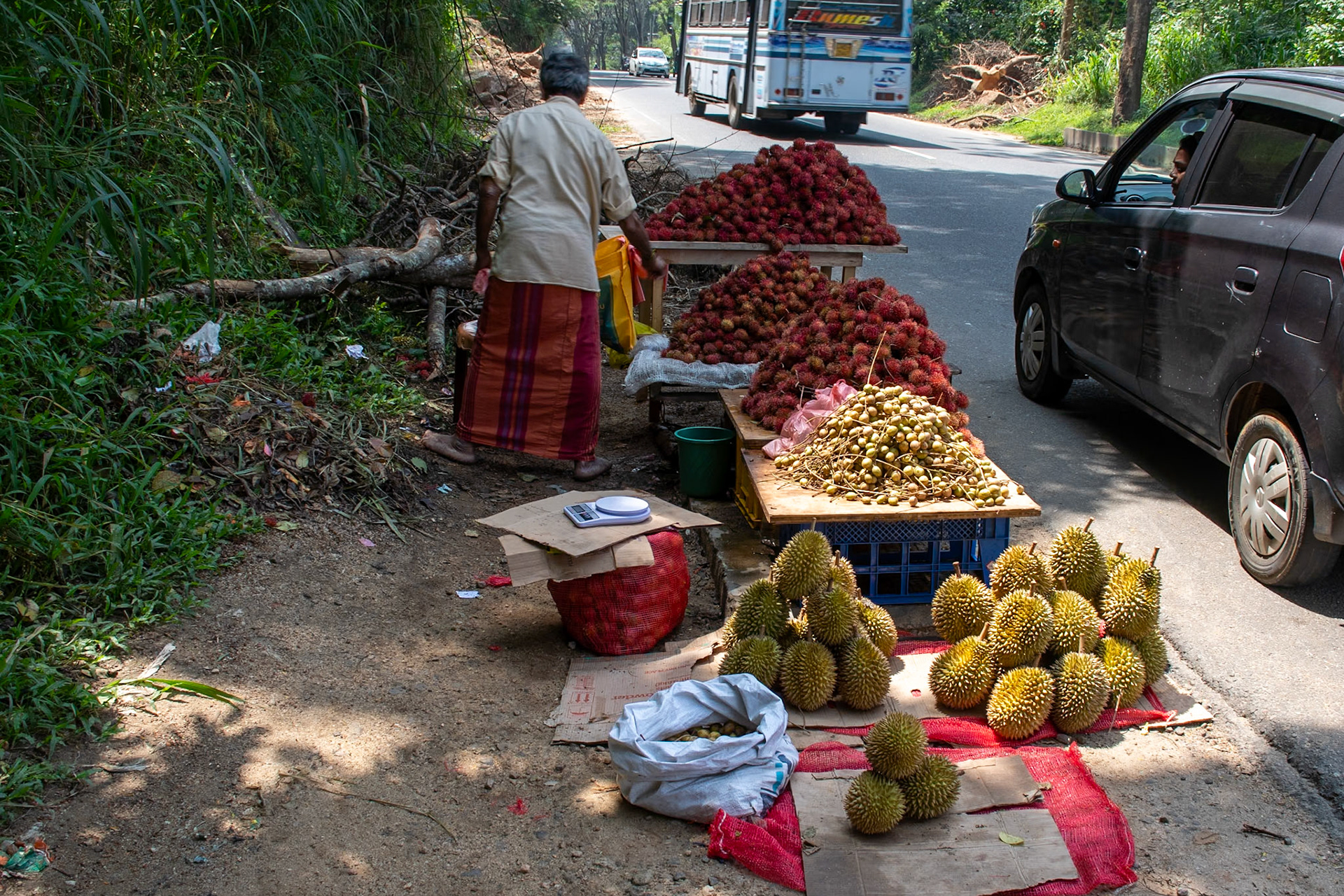 Durian and rambutan stall, Narampanawa, Digana