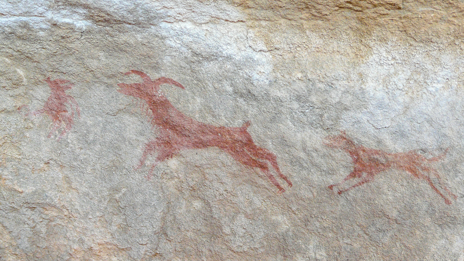 Earliest depiction of dog used in hunting (NatGeo), Akakus Region