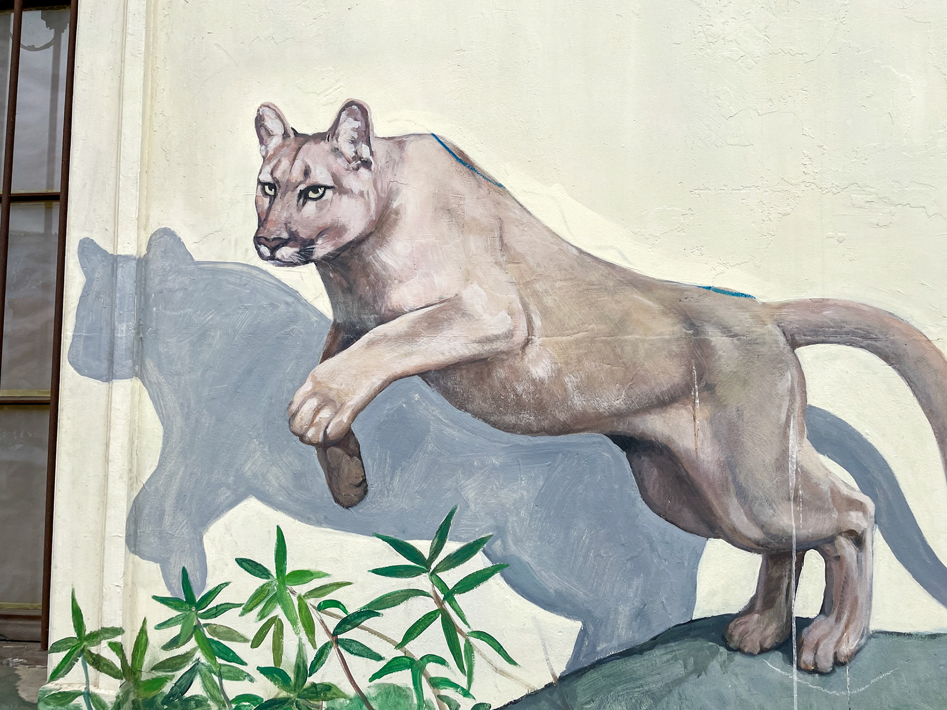 Street Art, Valparaiso