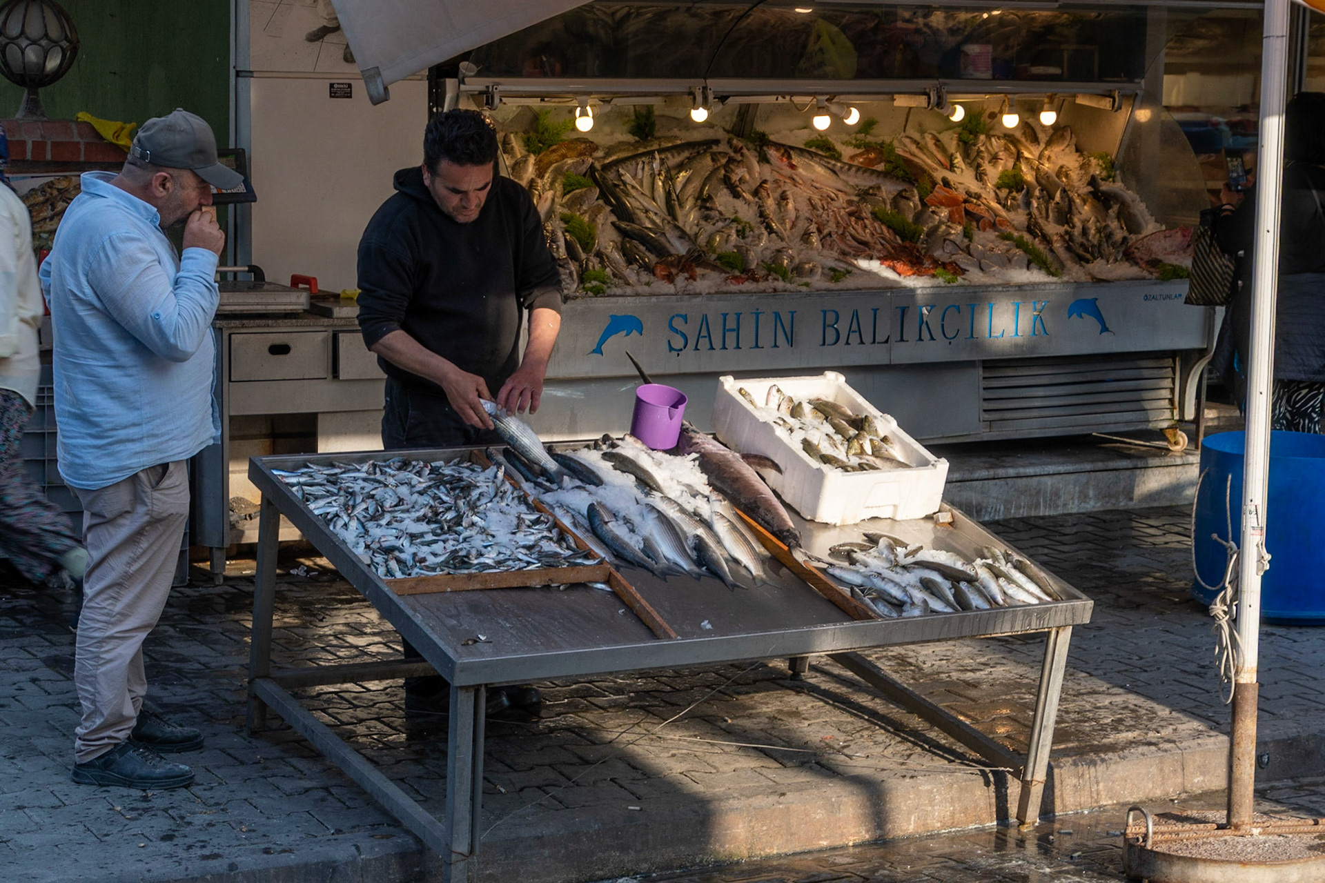 Fishmonger, Dikili, Turkiye
