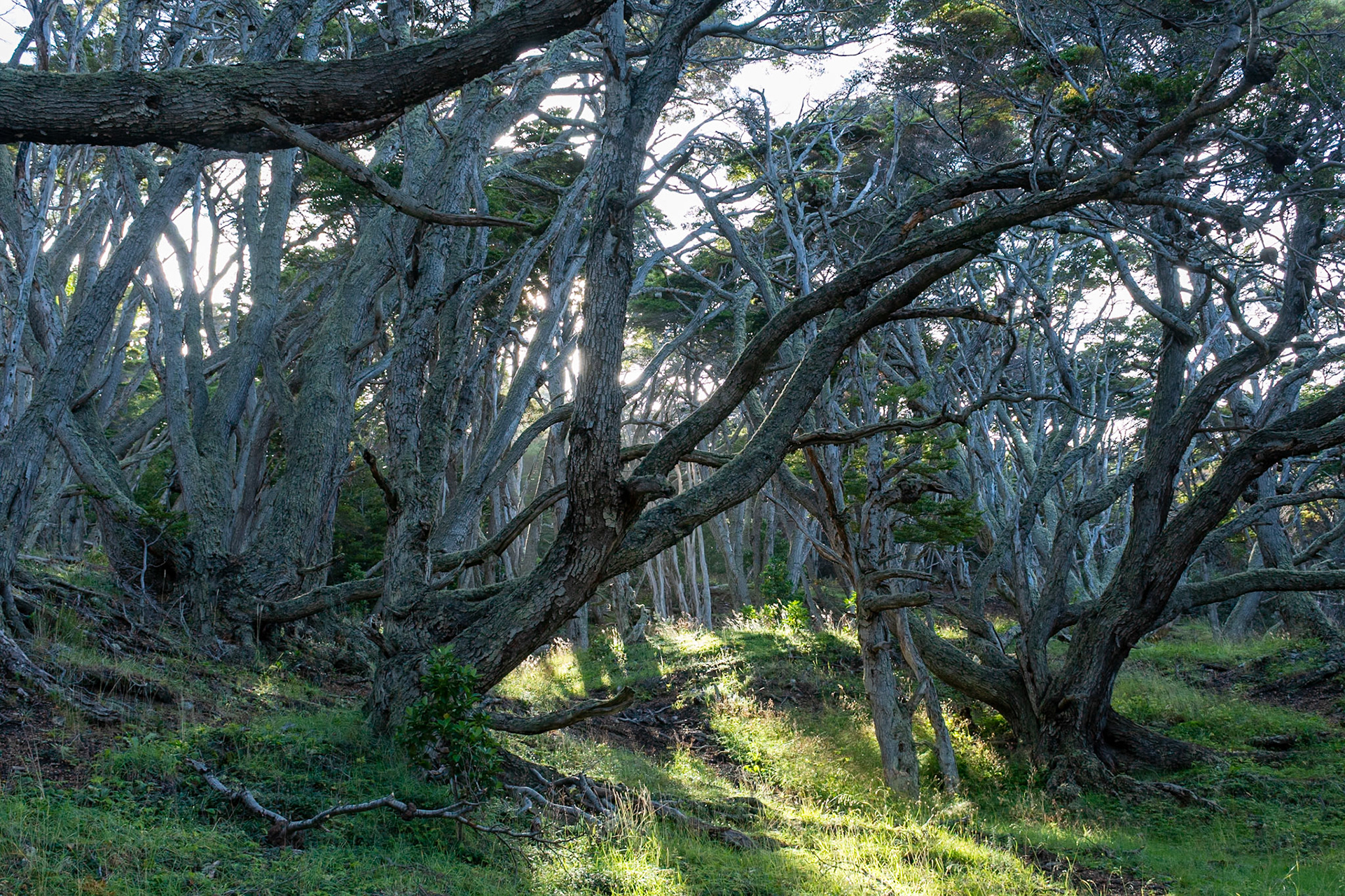 Beside Beagle Channel, Ushuaia