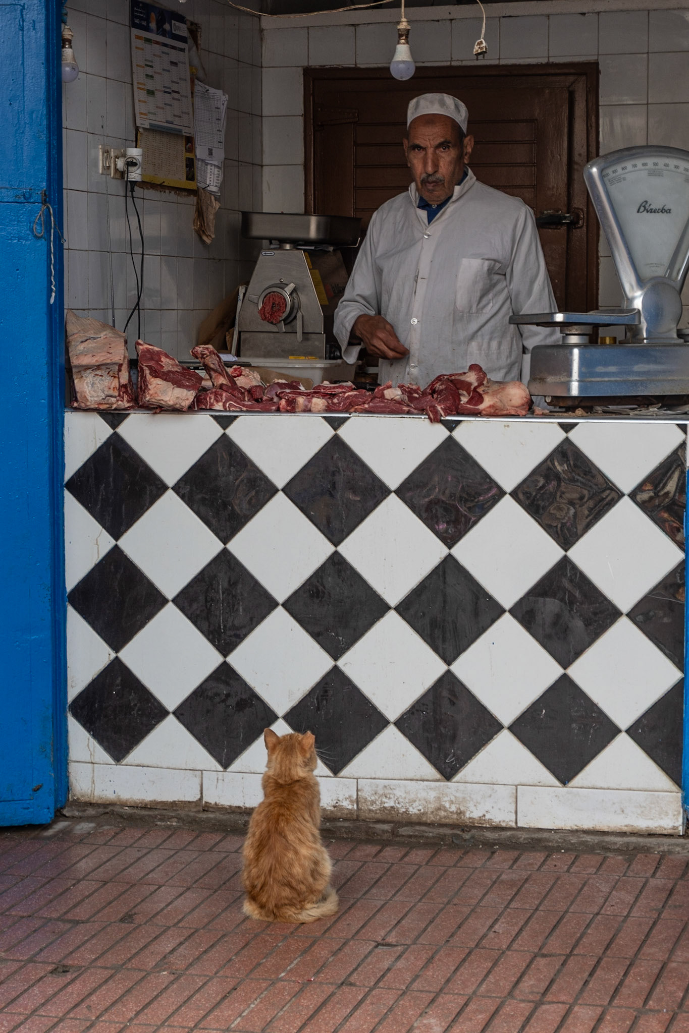 Cat and butcher, Essaouira, Morocco, 2021