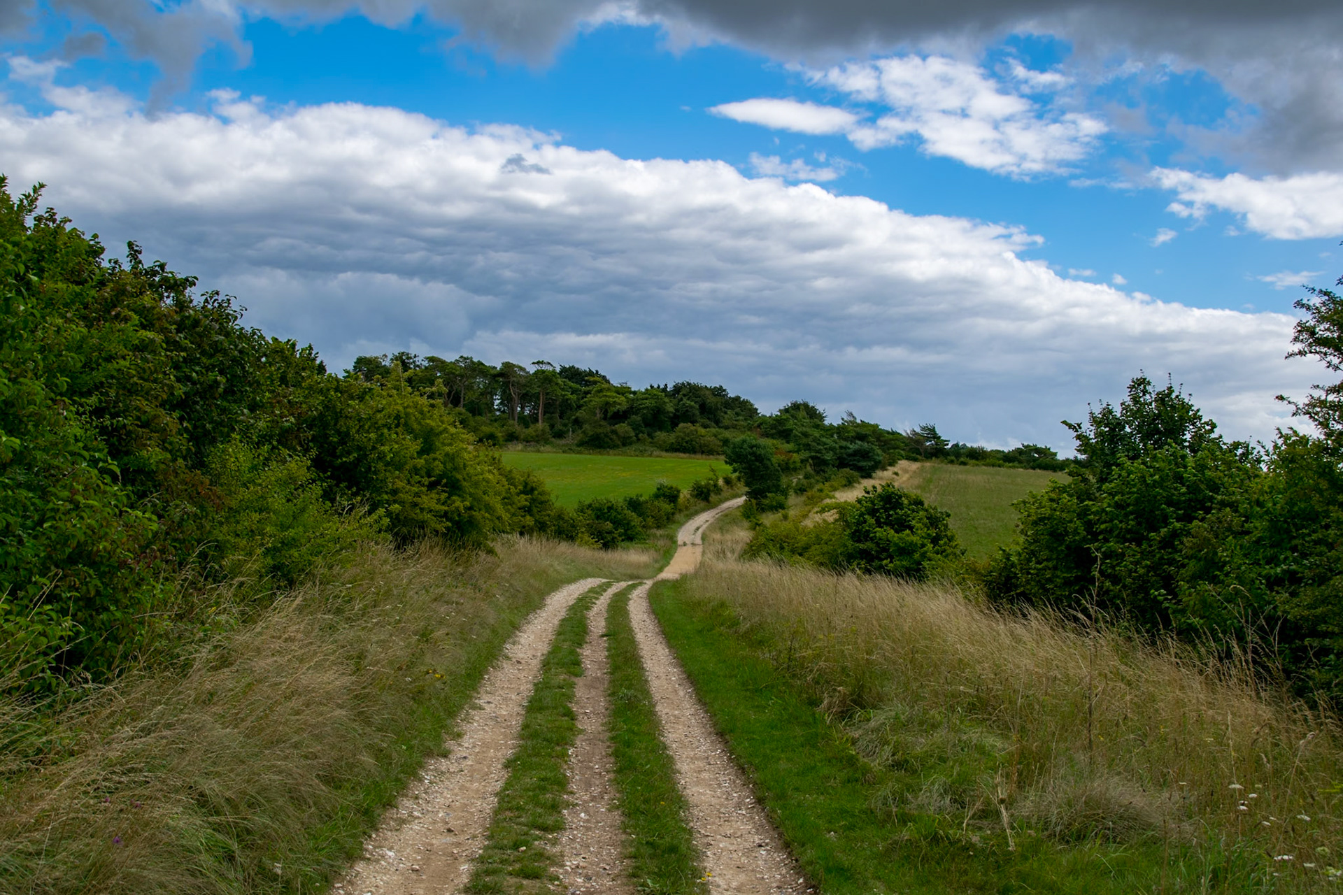 Path, near East Ilsey