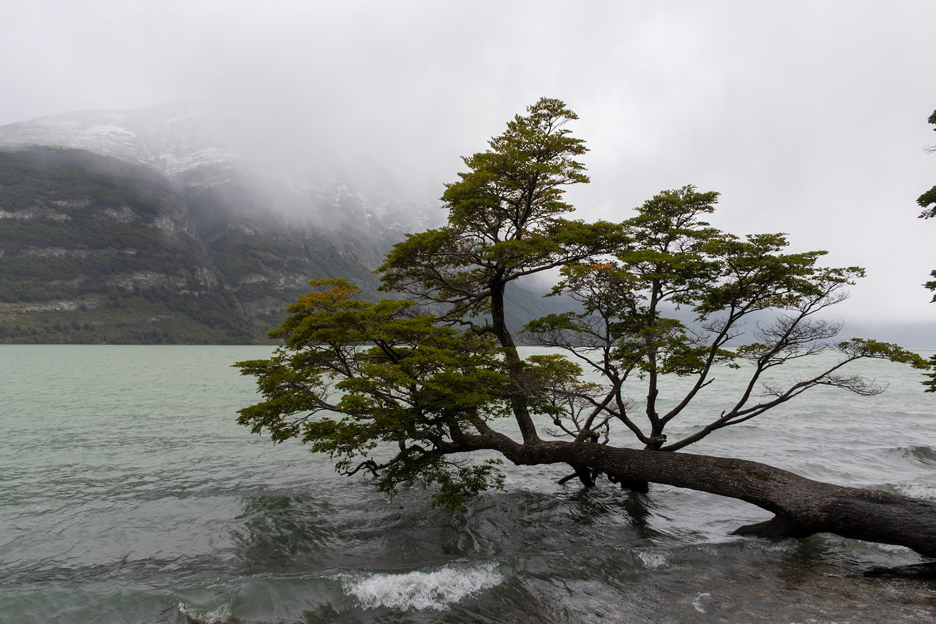 Tierra Del Fuego NP, Ushuaia, Argentina