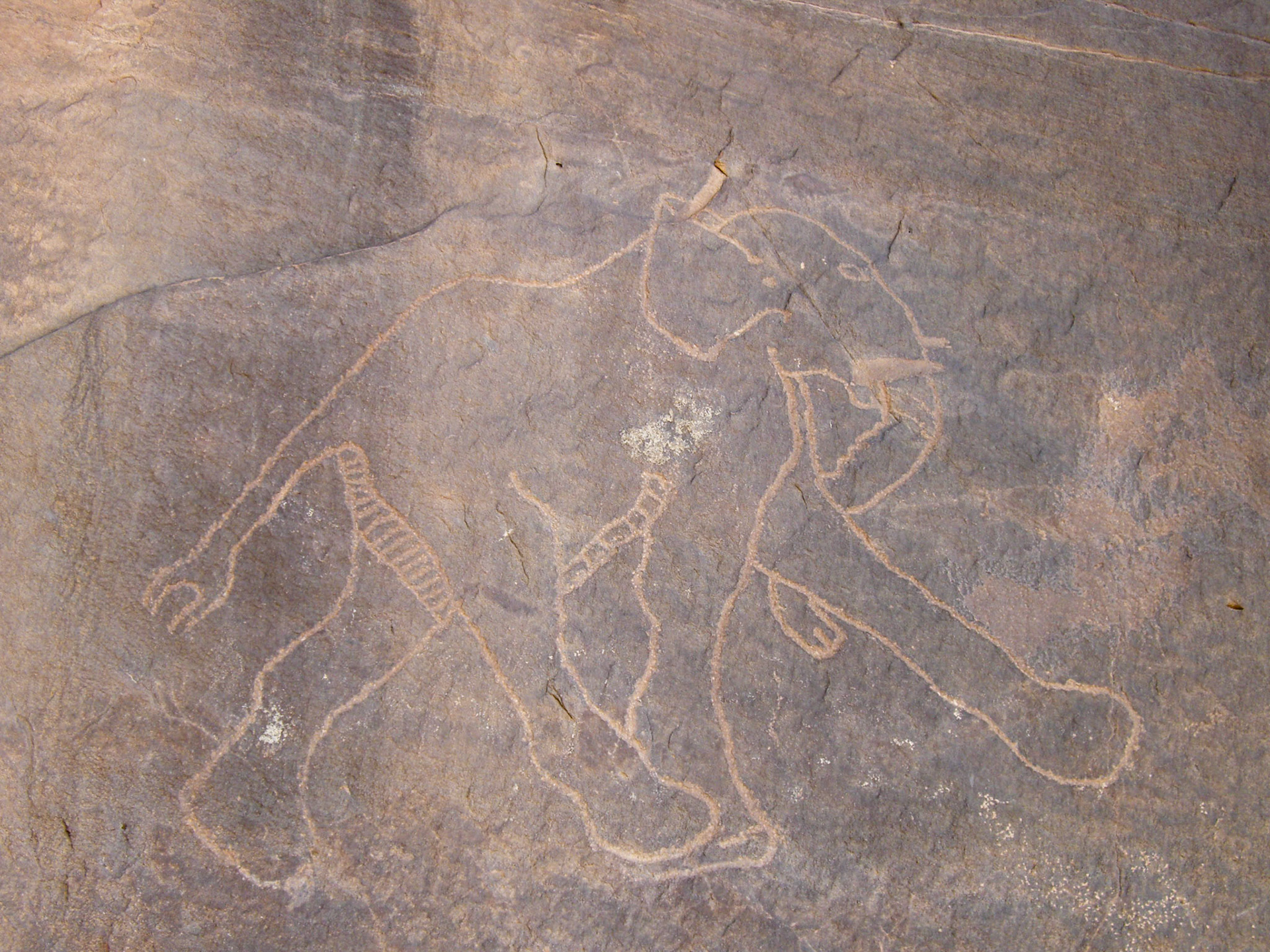 Carving of elephant, Southern Akakus