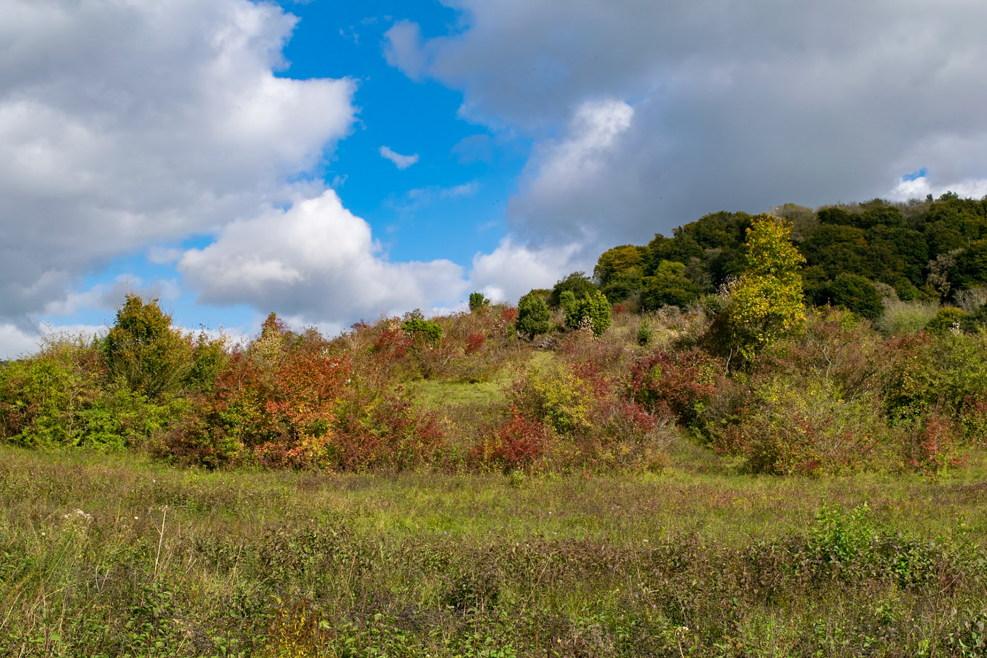 View from Path near Askett