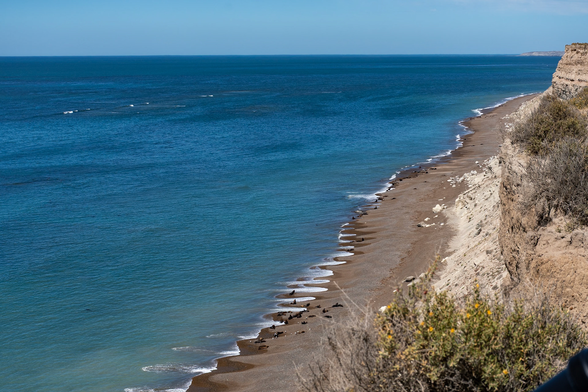 Coastline, north of Punta Delgada, Peninsula Valdes, Argentina